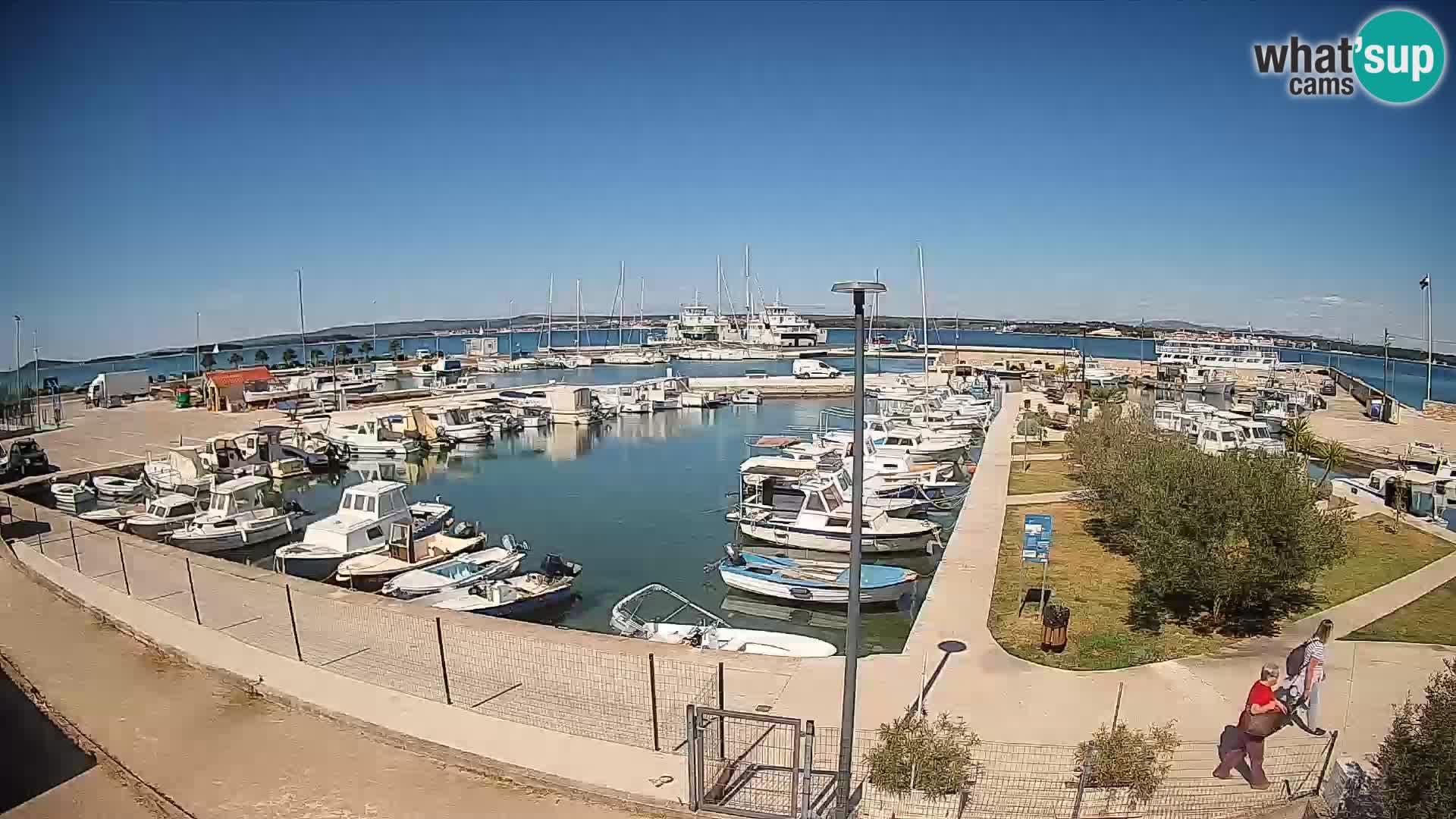 Webcam Live Tkon – puerto deportivo