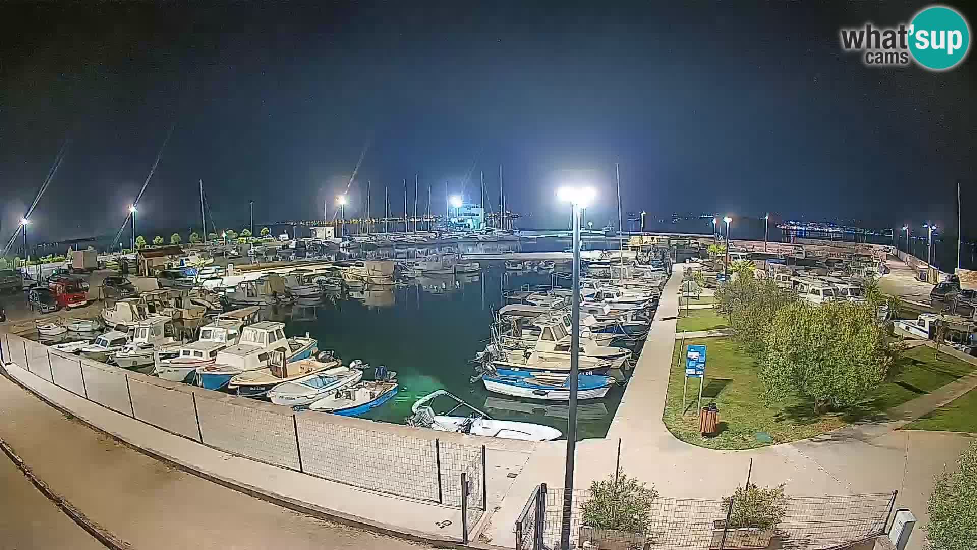 Webcam Live Tkon – Marina