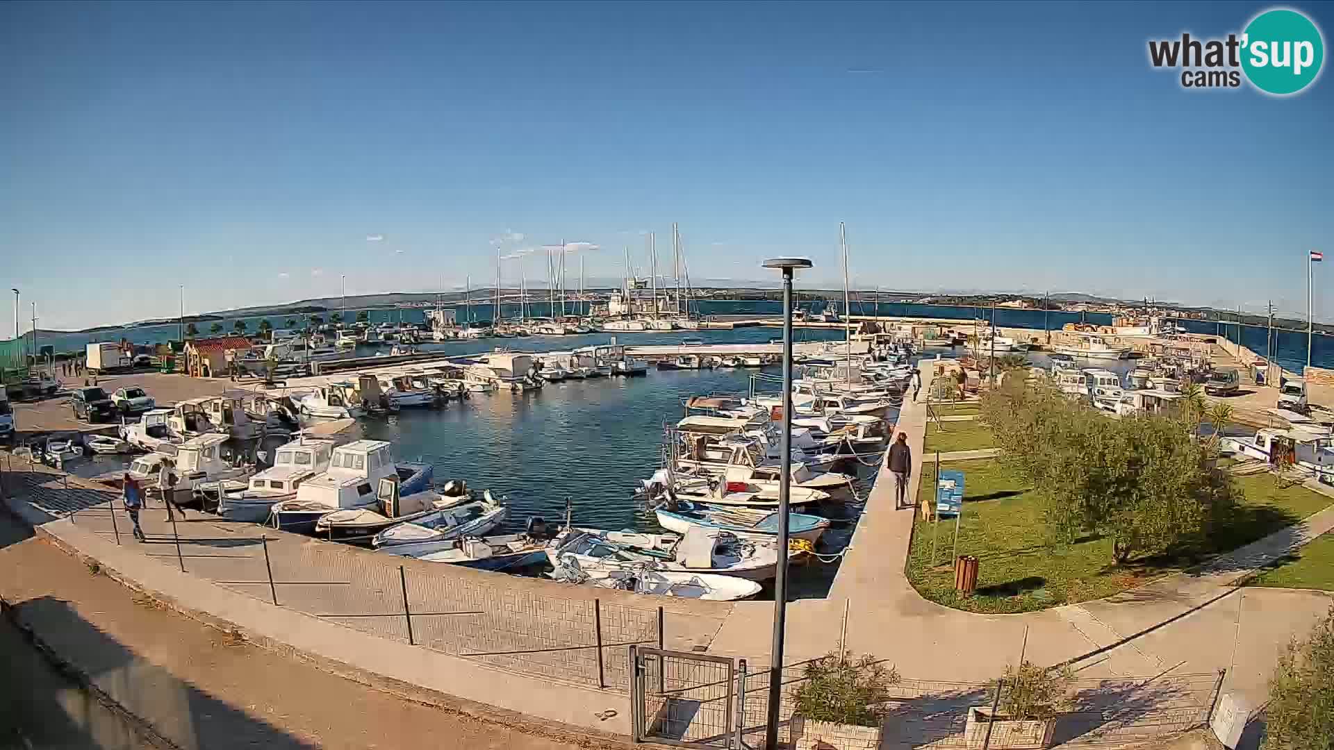 Spletna kamera Tkon – Marina
