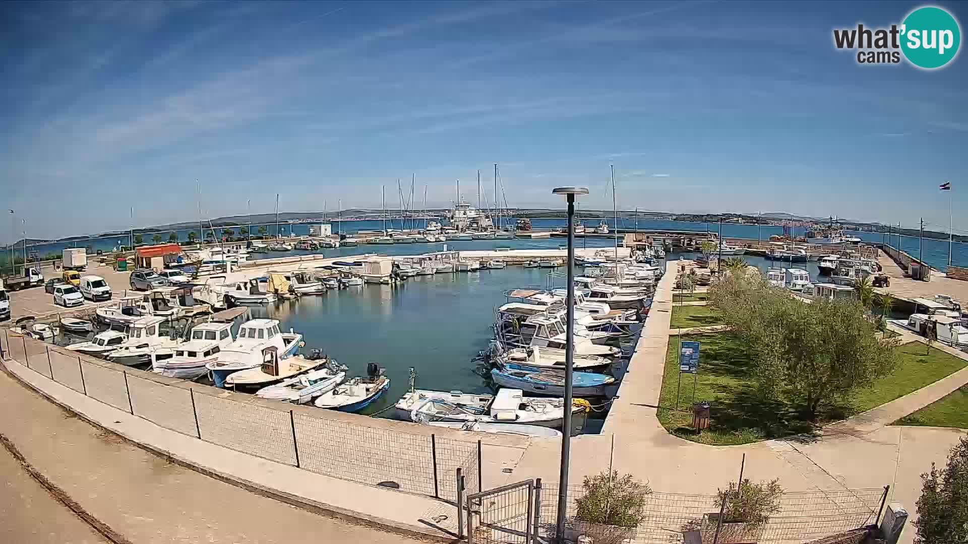 Spletna kamera Tkon – Marina