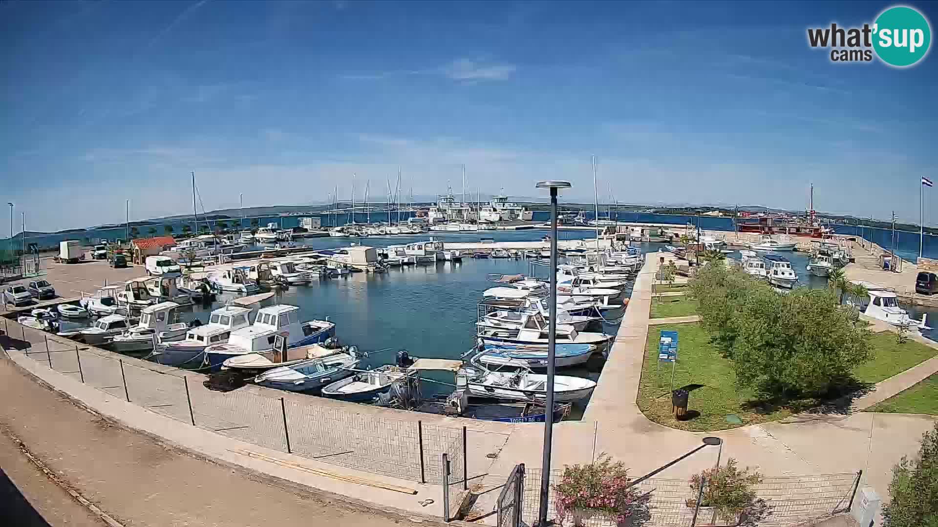 Webcam Live Tkon – puerto deportivo