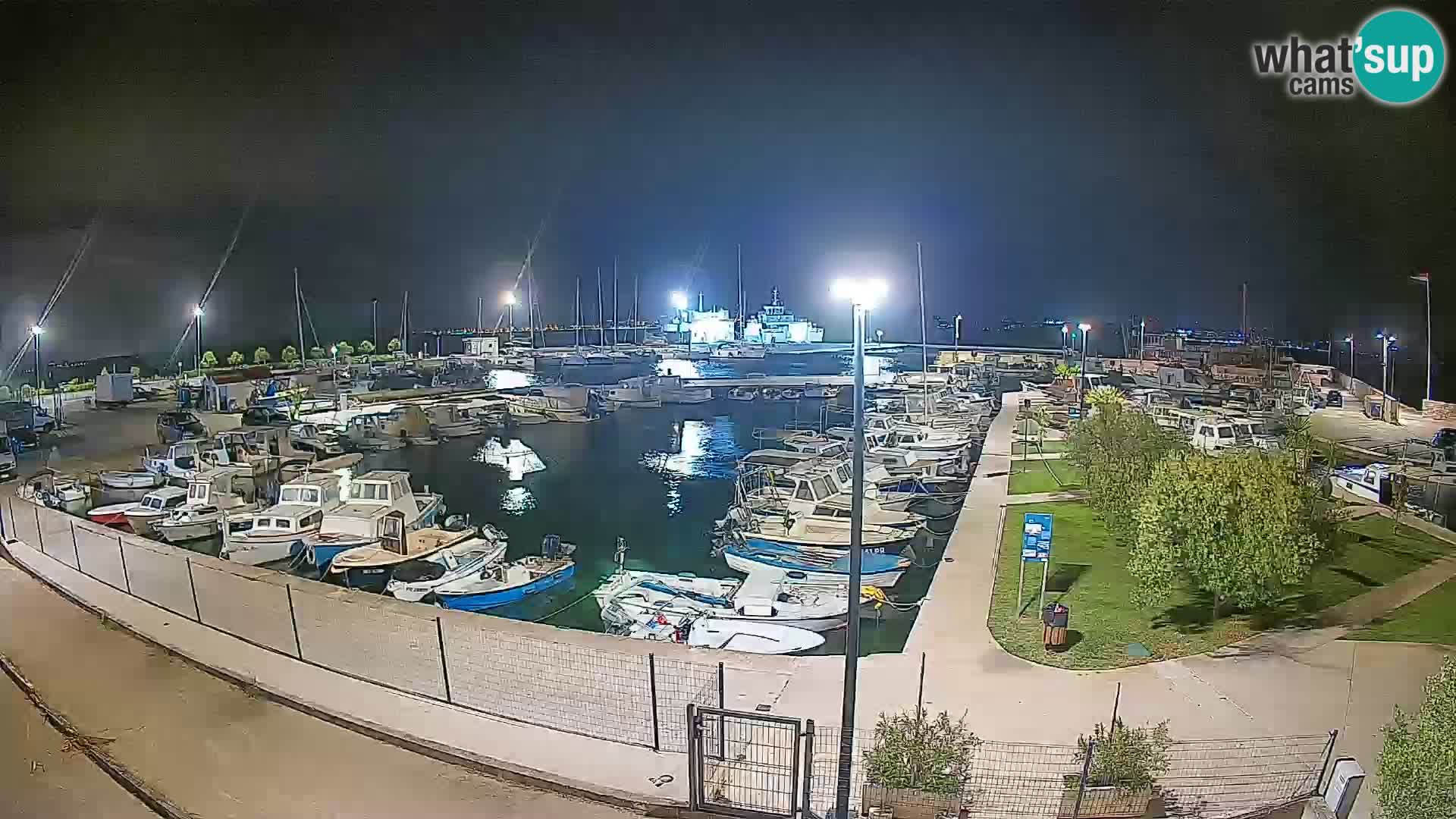 Webcam Live Tkon – Marina