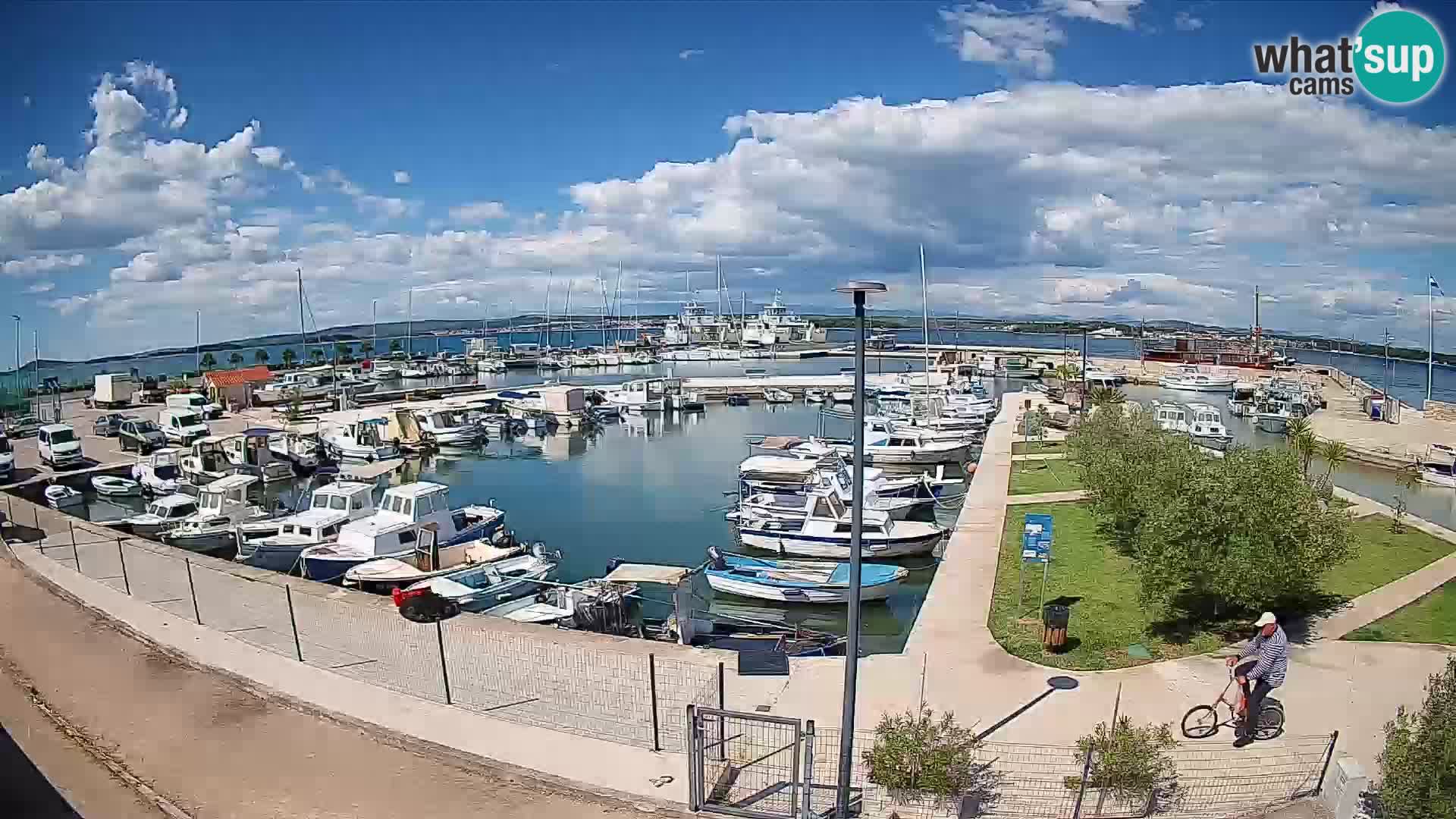 Webcam Live Tkon – port de plaisance