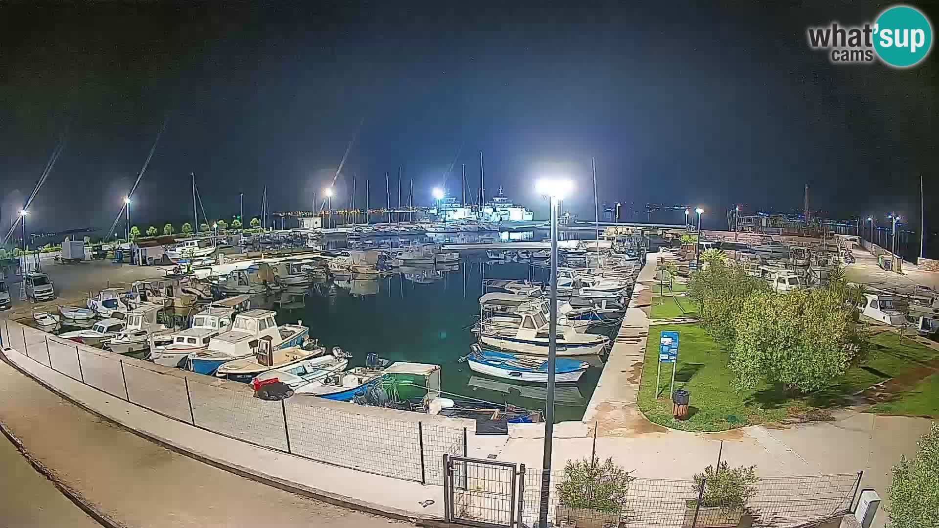 Spletna kamera Tkon – Marina
