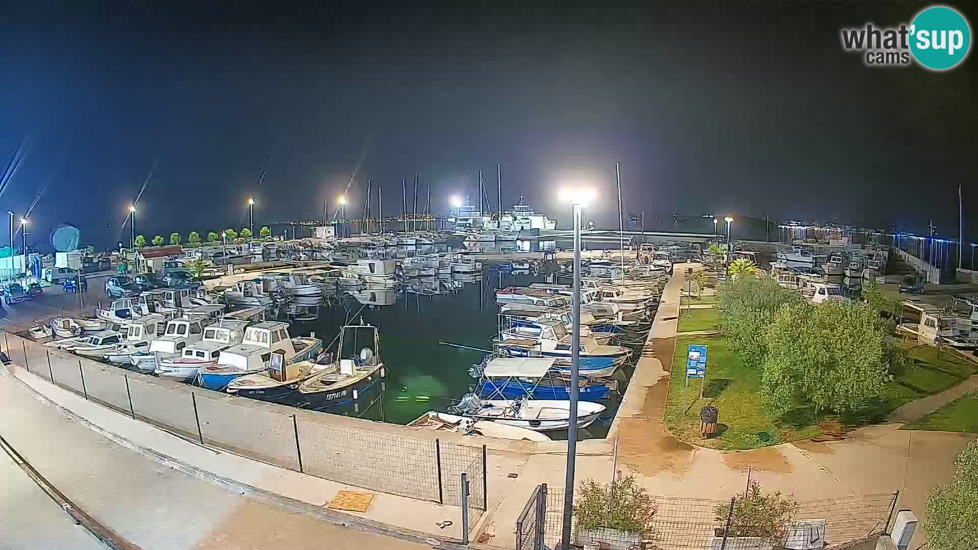 Webcam Live Tkon – Marina