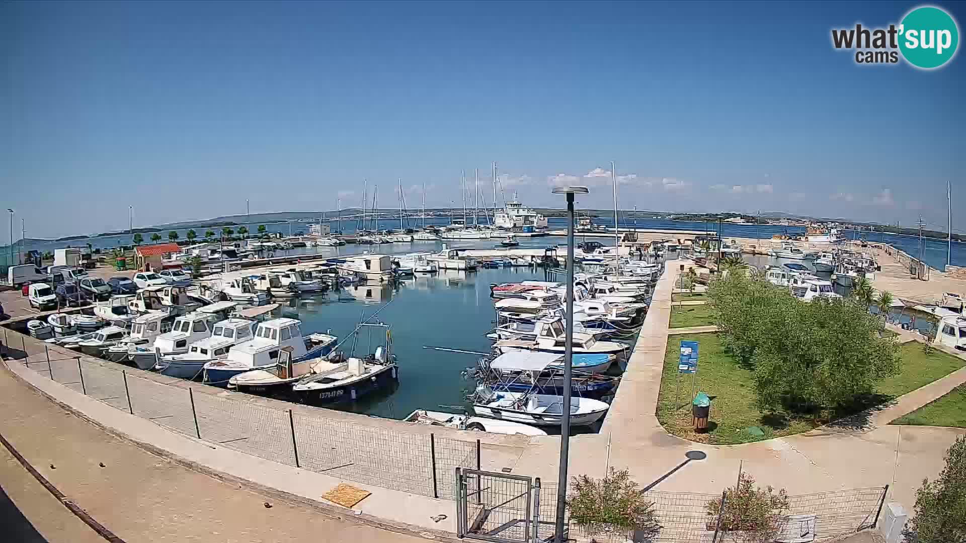 Spletna kamera Tkon – Marina