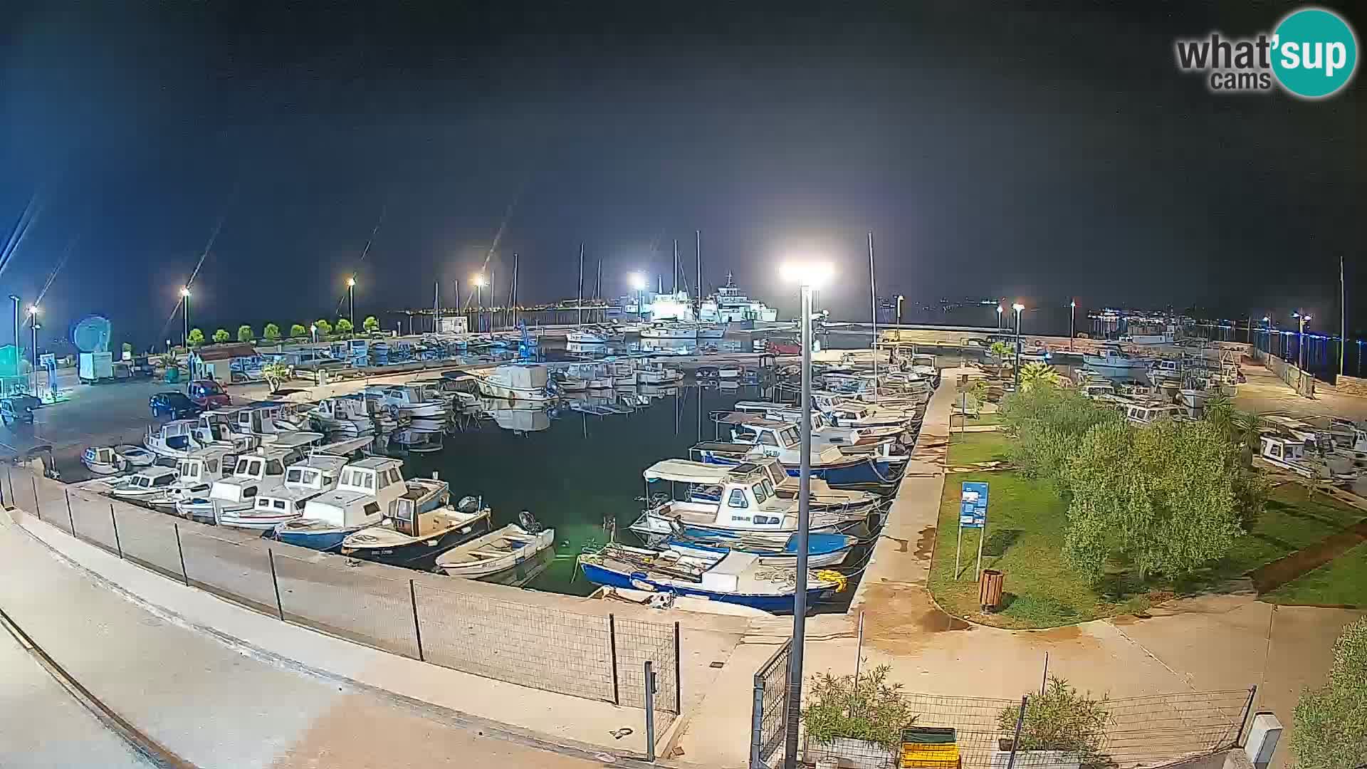 Webcam Live Tkon – Marina