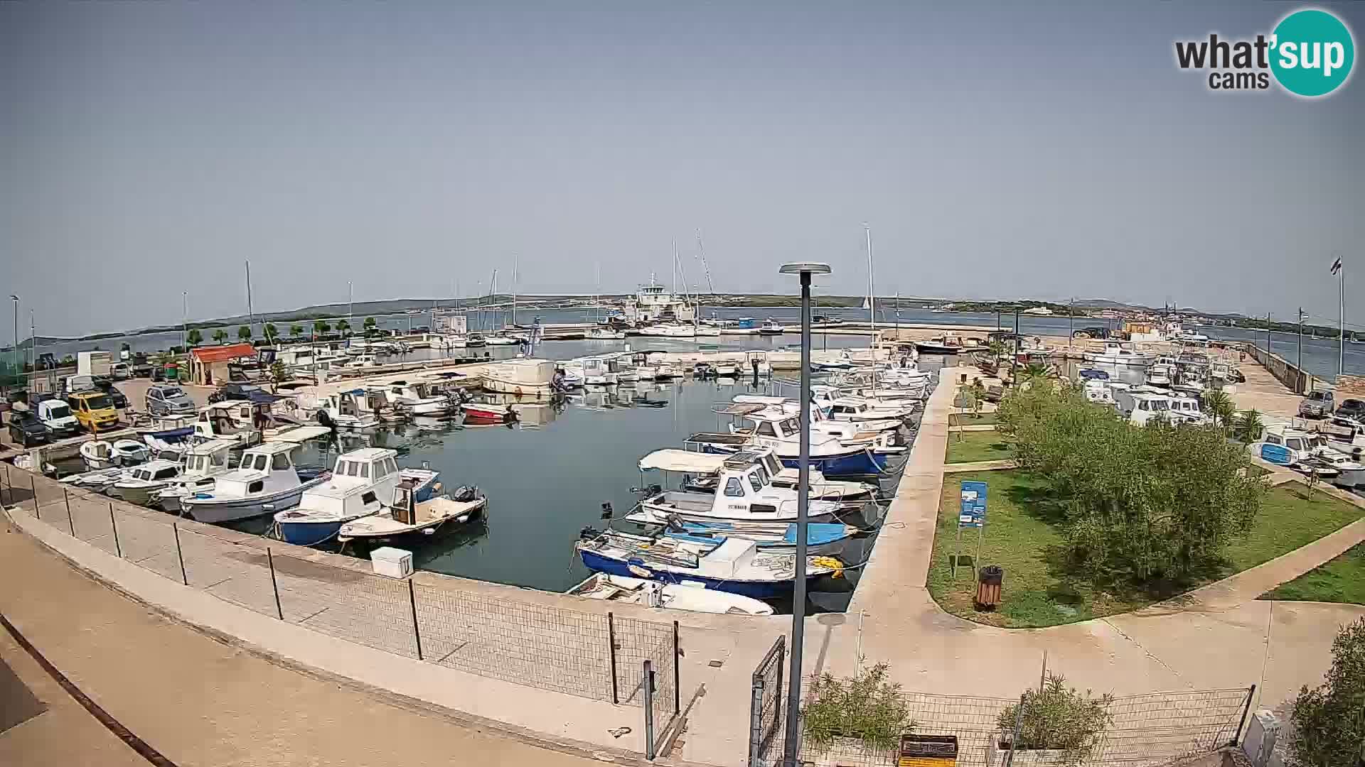Webcam Live Tkon – port de plaisance