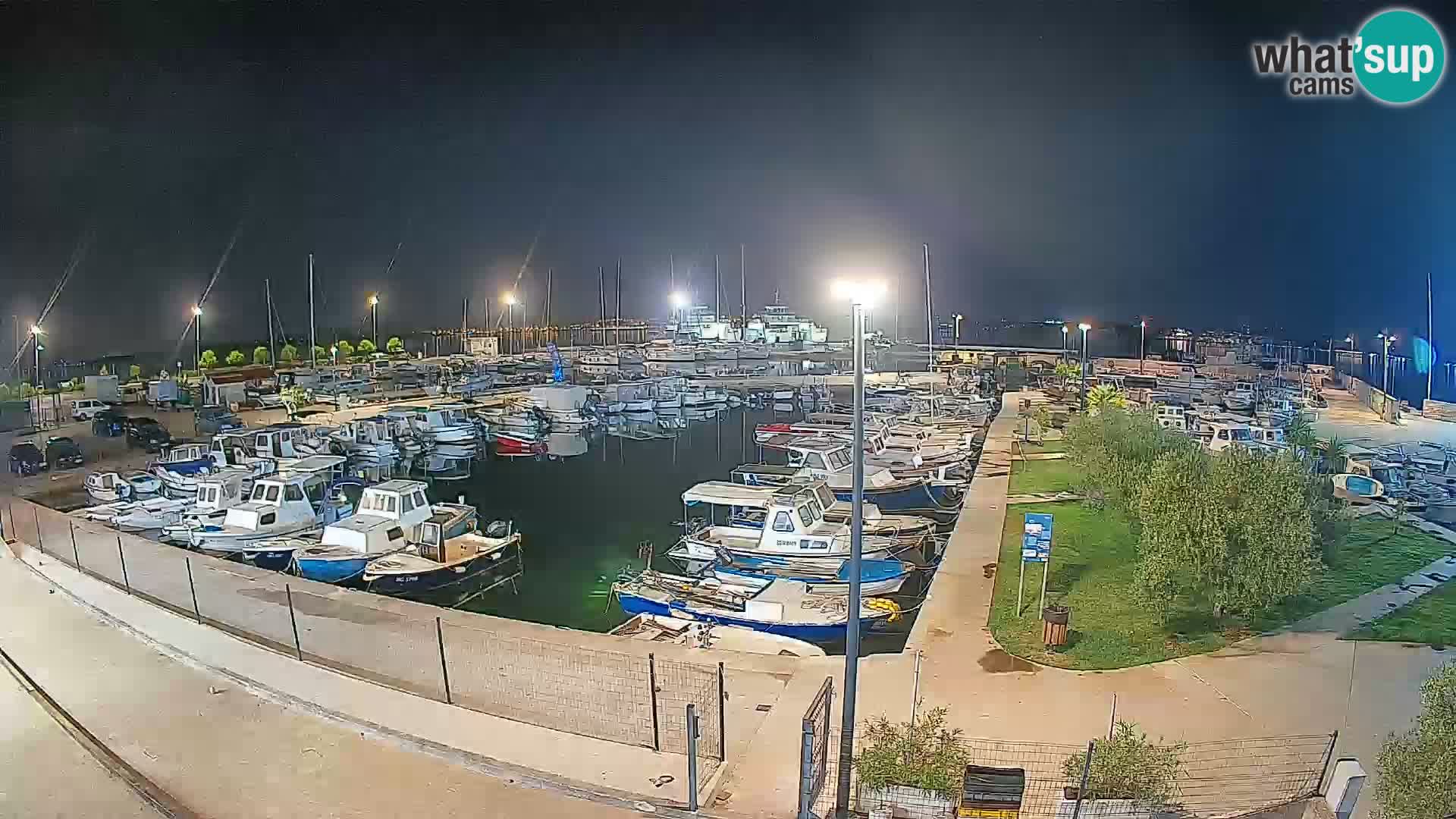 Webcam Live Tkon – Marina
