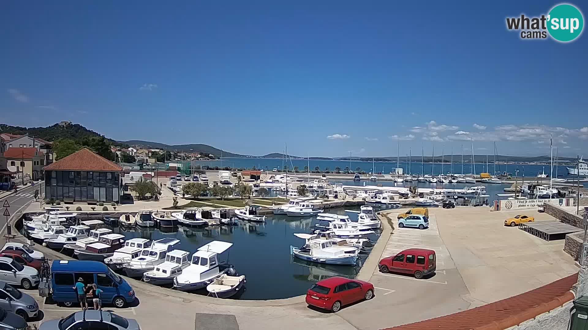 Webcam Live Tkon – Marina and port