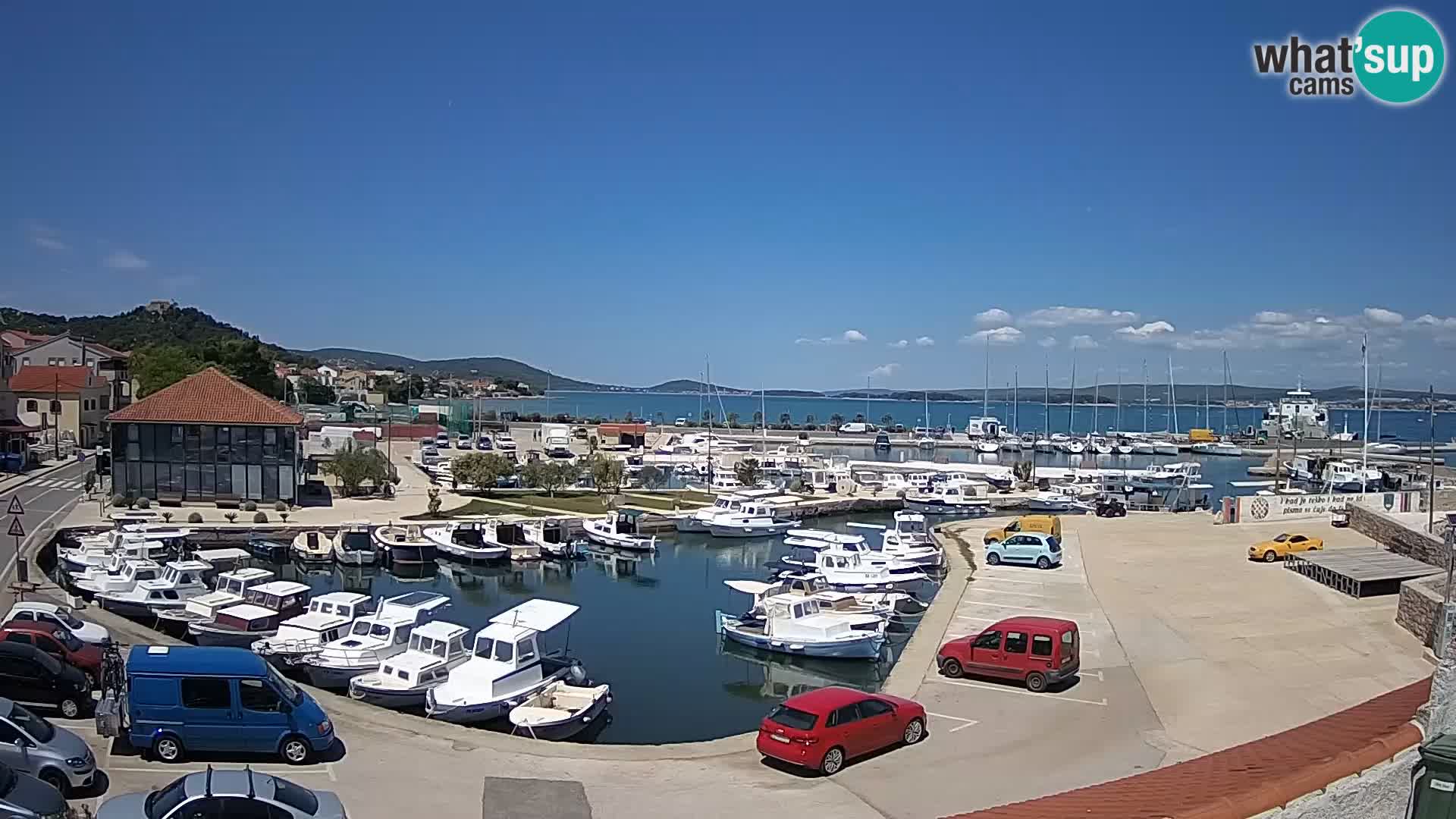 Webcam Live Tkon – Marina and port