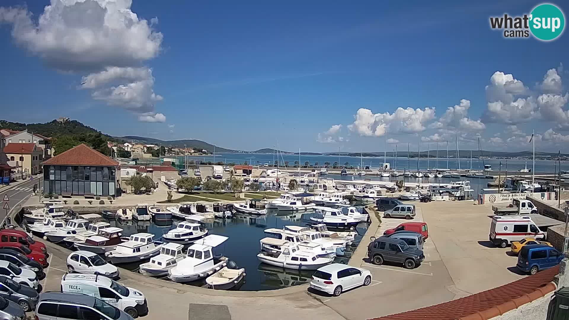 Webcam Live Tkon – Marina and port