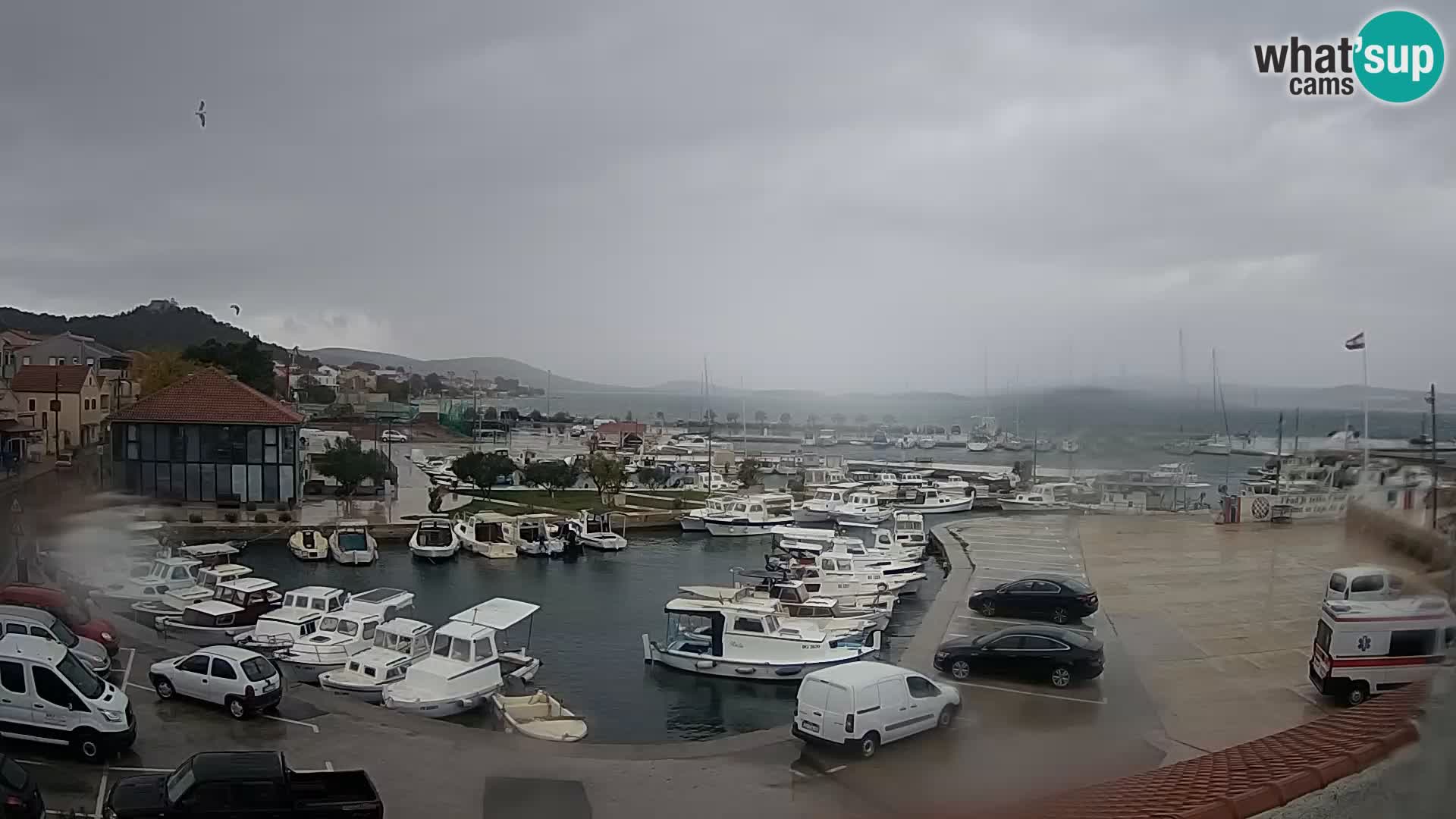 Webcam Live Tkon – Marina i luka