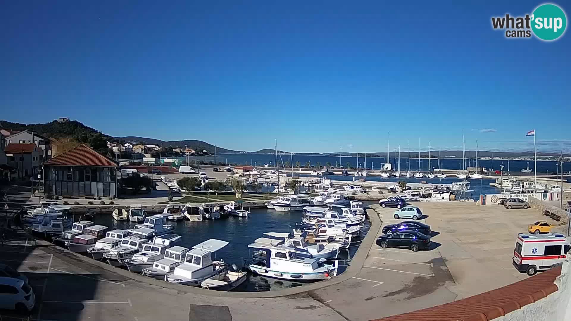 Webcam Live Tkon – Marina i luka