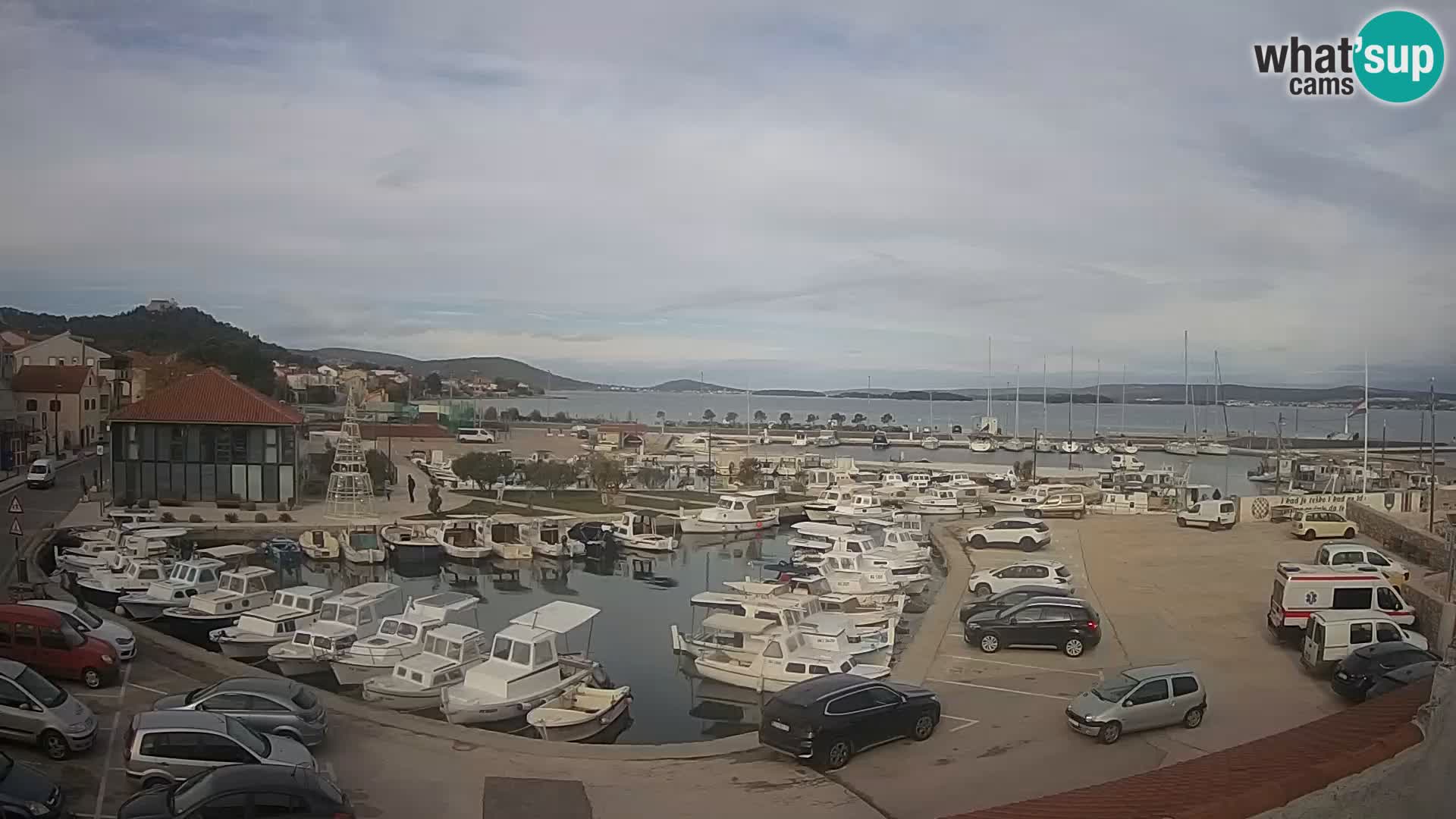 Webcam Live Tkon – Marina e il porto