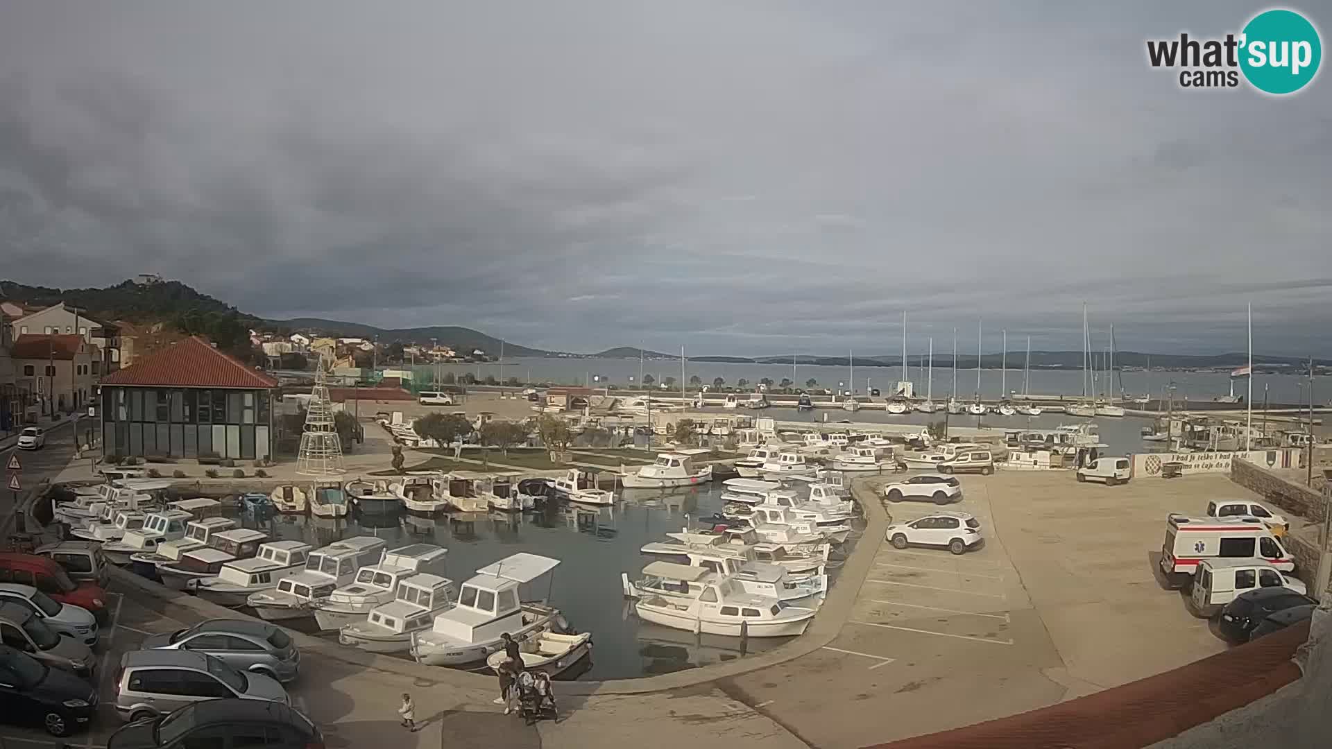 Webcam Live Tkon – Marina i luka