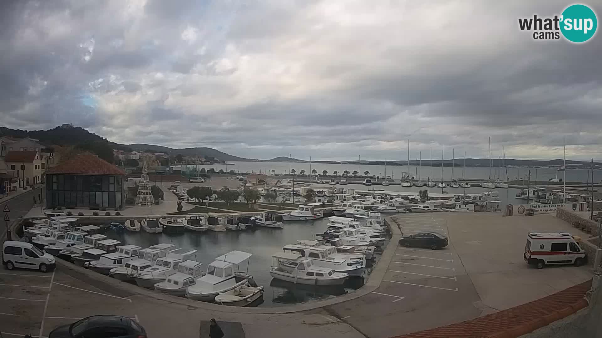 Webcam Live Tkon – Marina e il porto