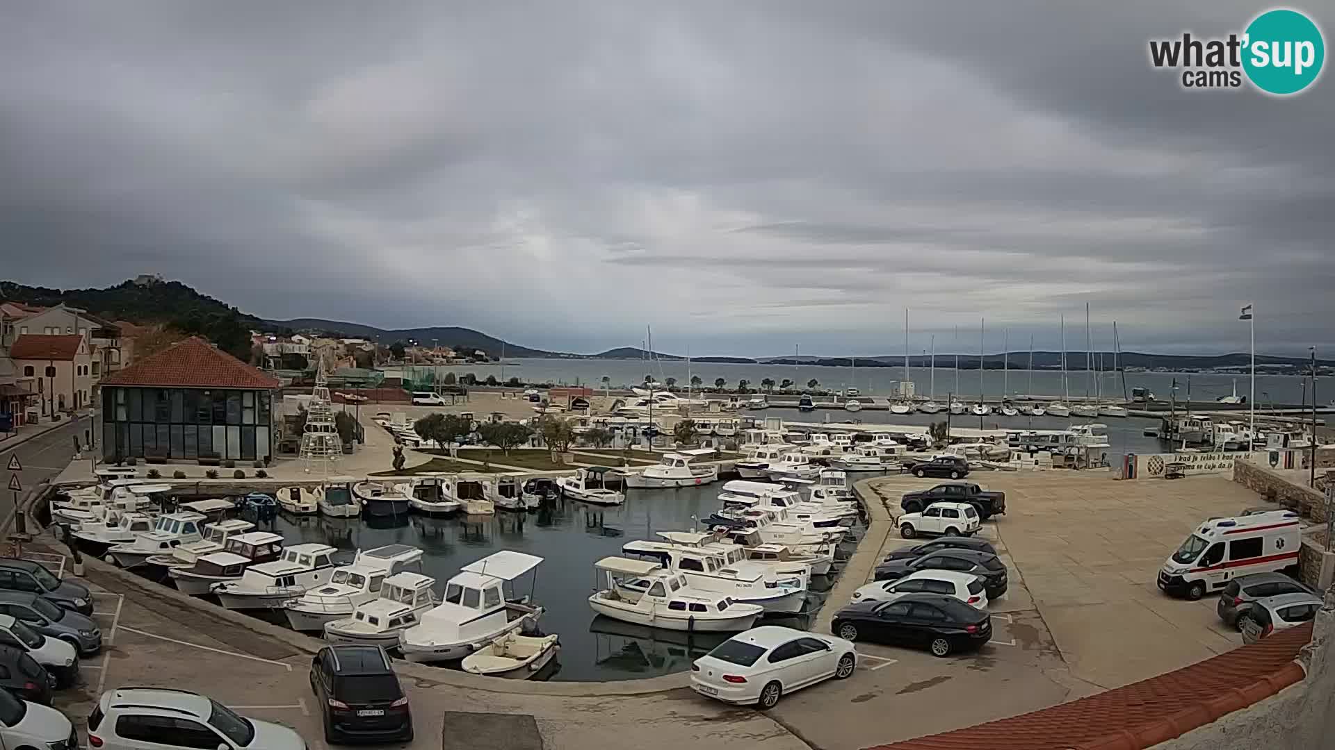 Webcam Live Tkon – Marina and port