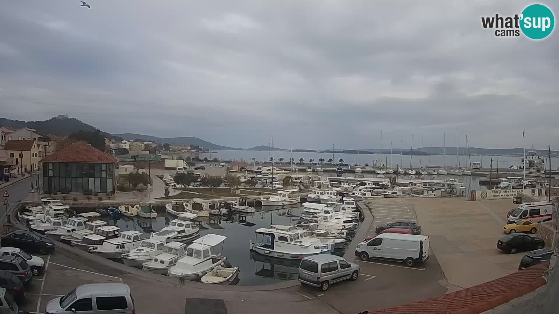 Webcam Live Tkon – Marina e il porto