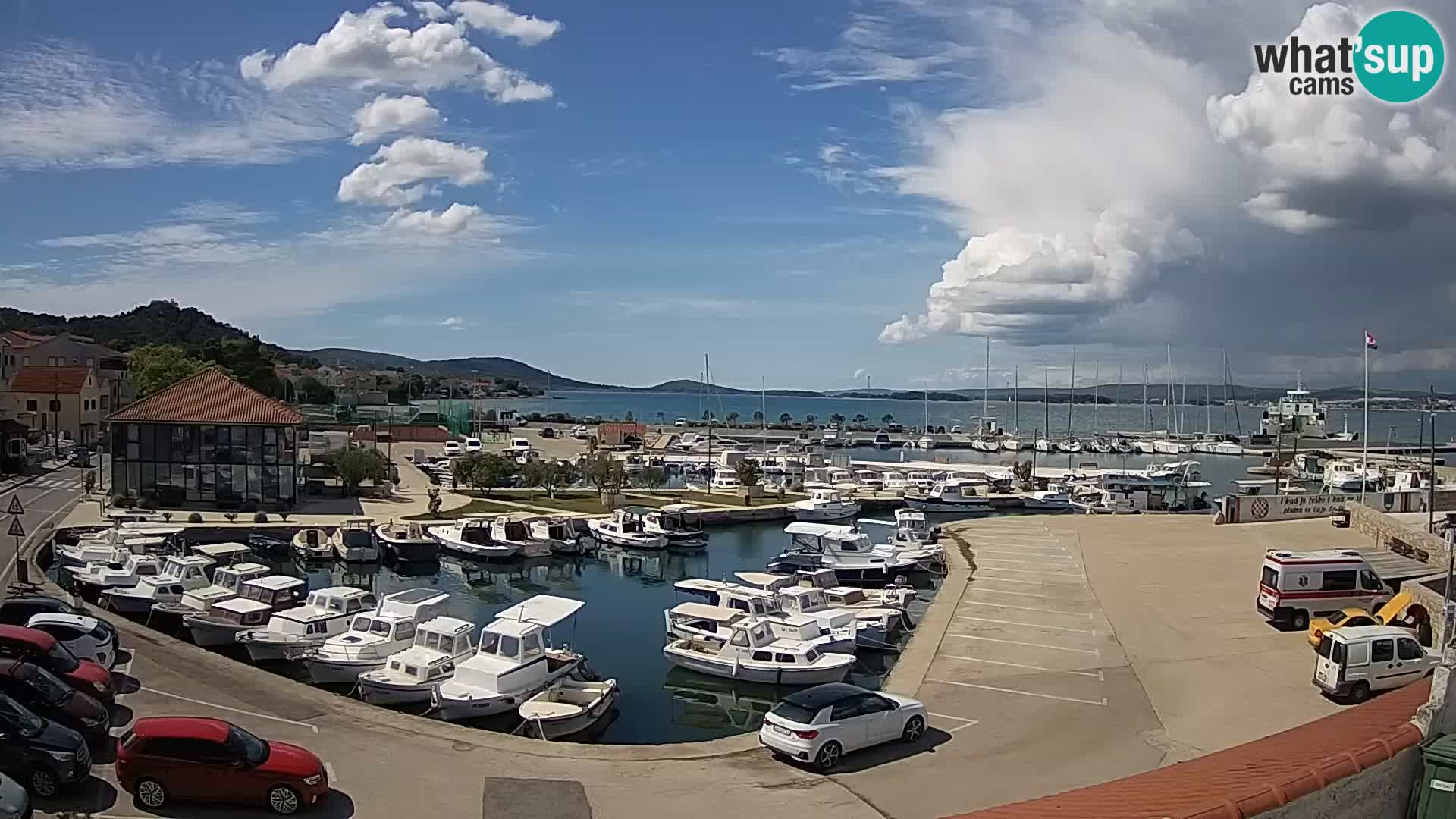 Webcam Live Tkon – Marina and port