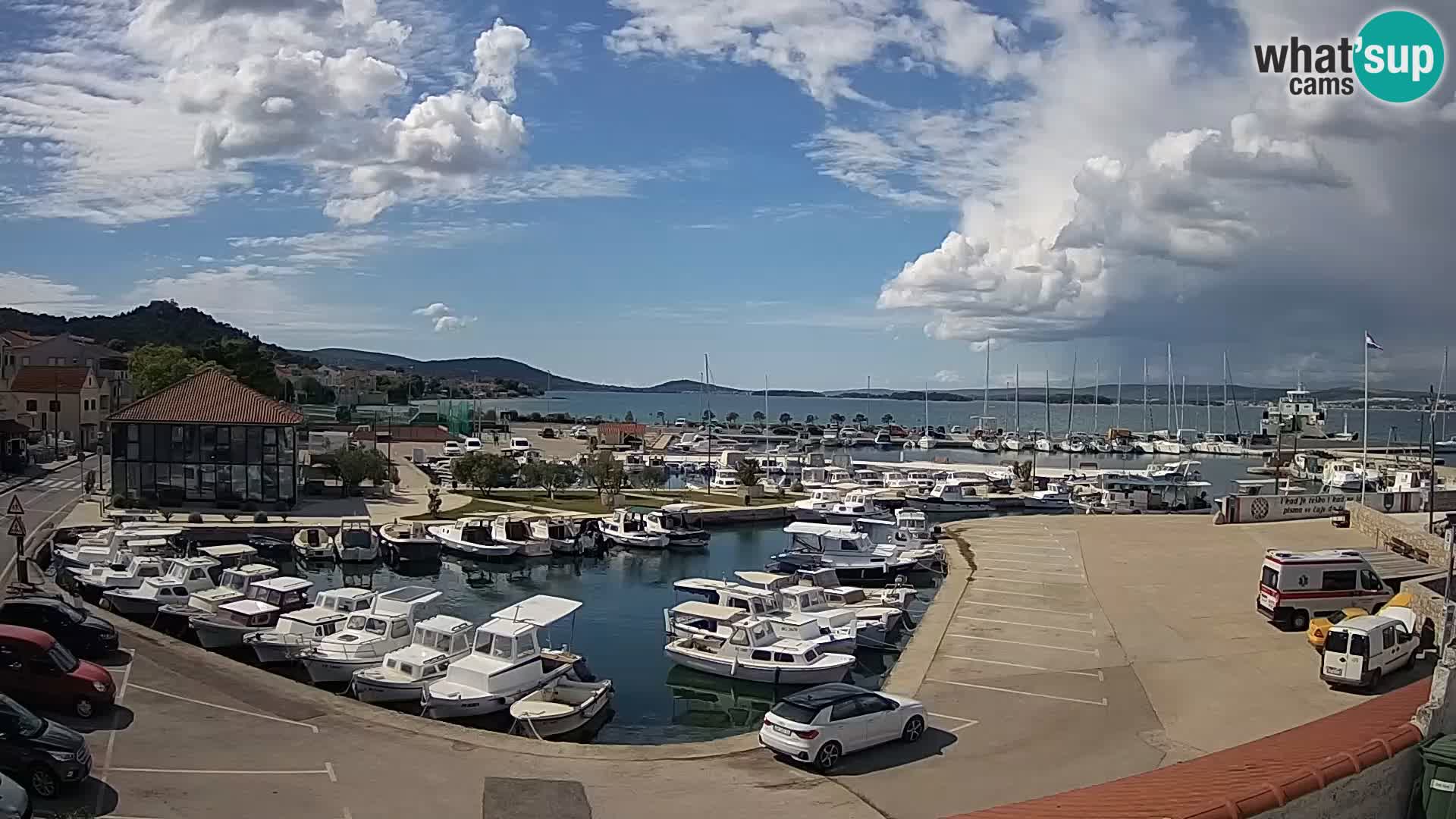 Webcam Live Tkon – Marina and port