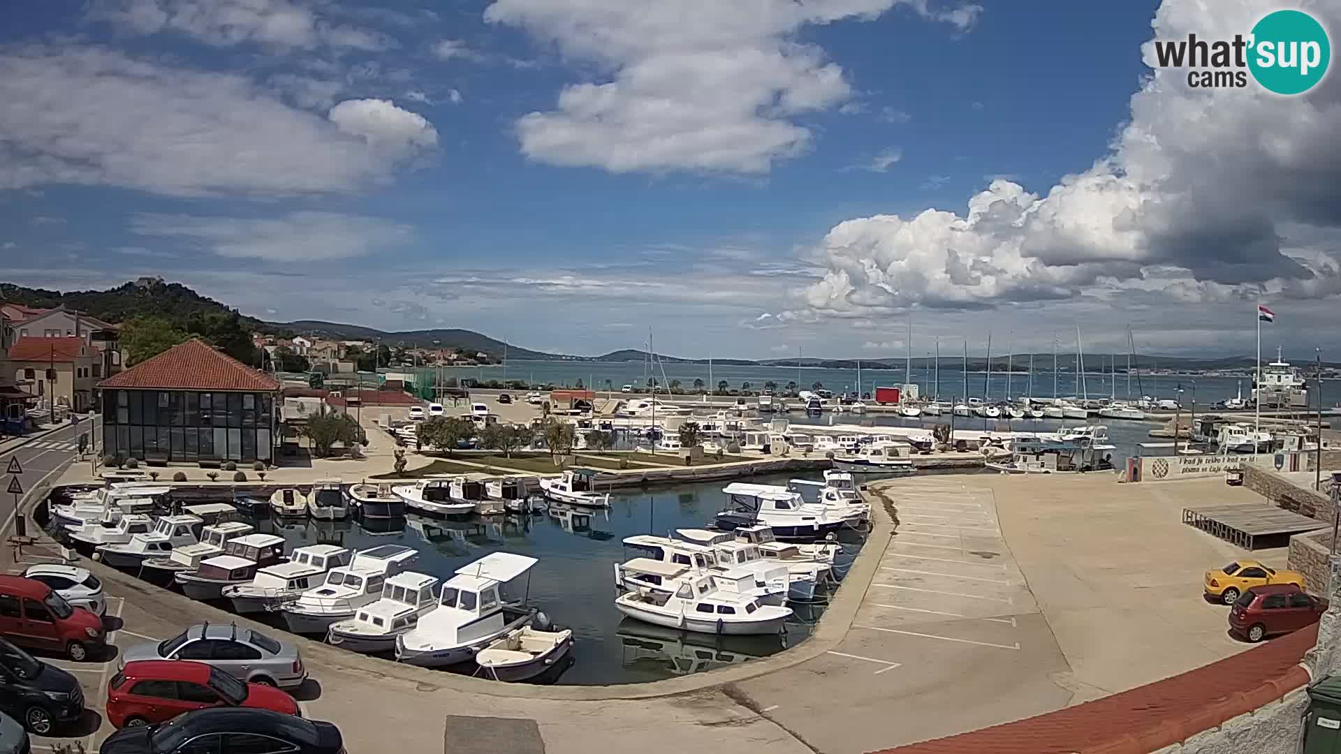 Webcam Live Tkon – Marina and port