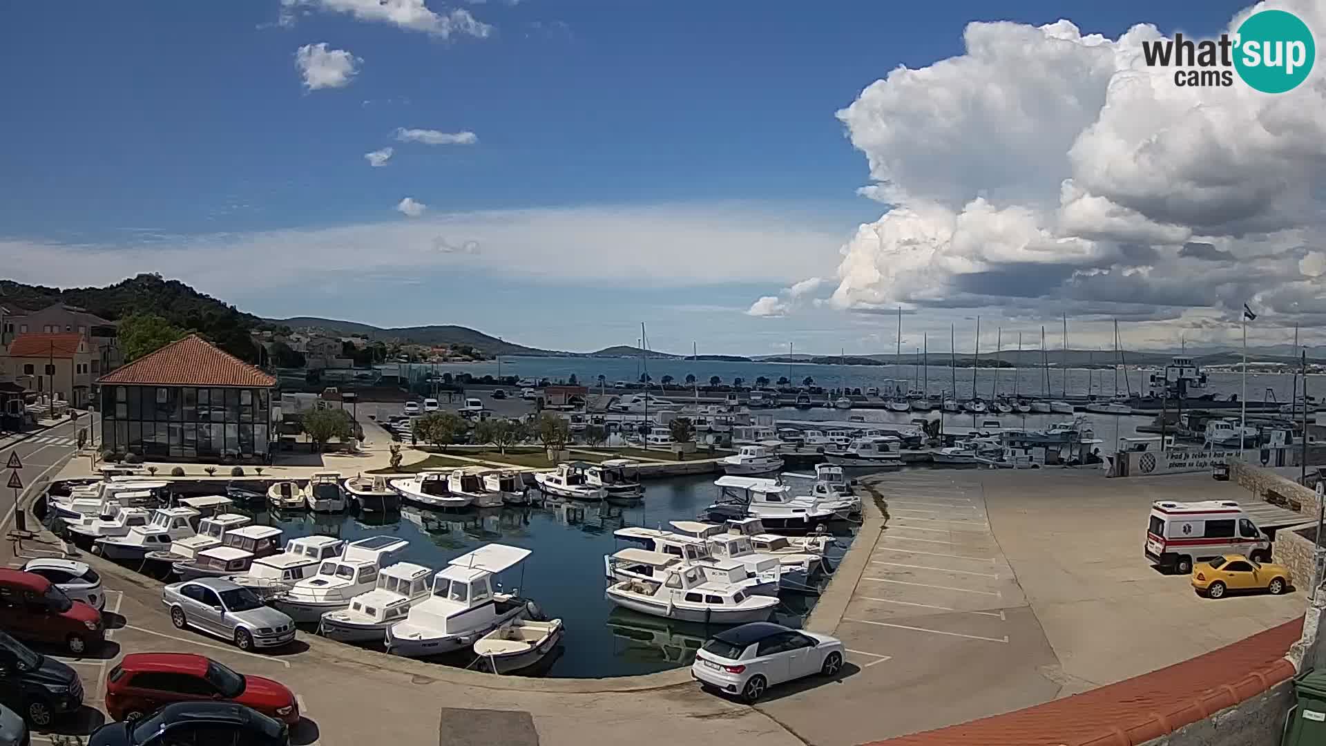 Webcam Live Tkon – Marina and port