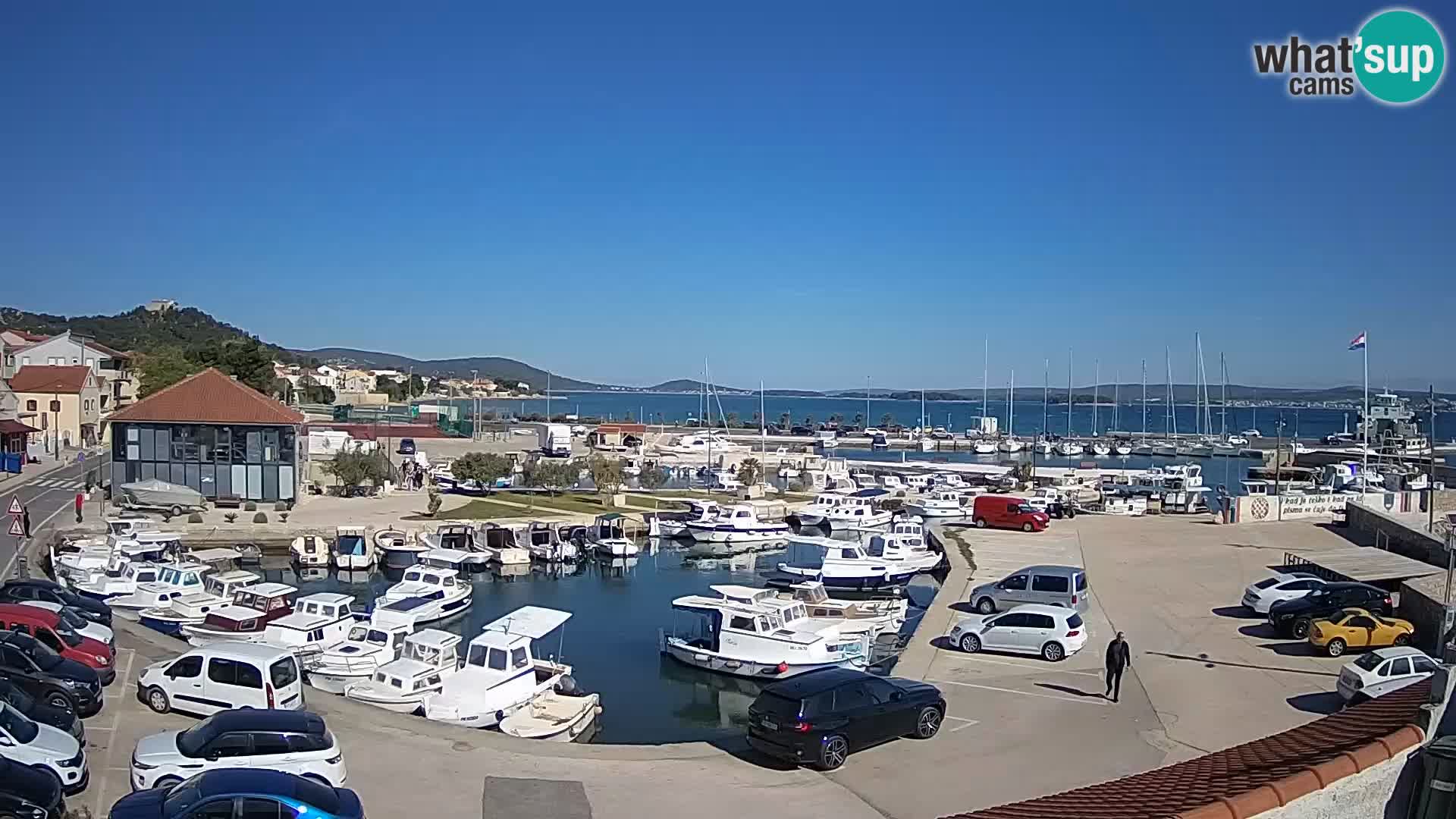 Webcam Live Tkon – Marina and port