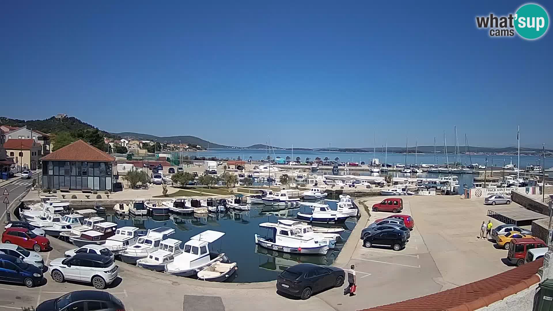 Webcam Live Tkon – Marina and port