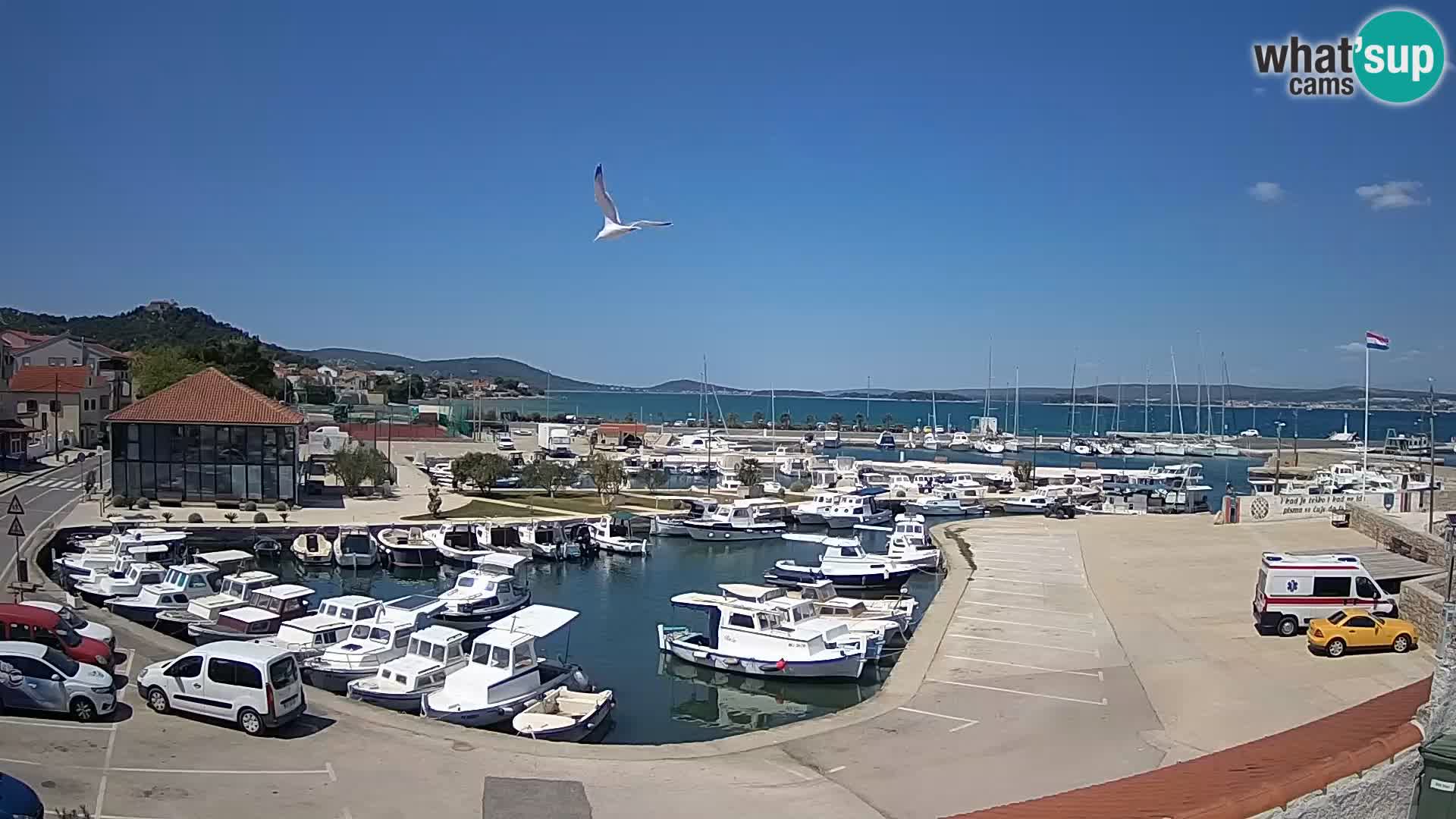 Webcam Live Tkon – Marina et le port