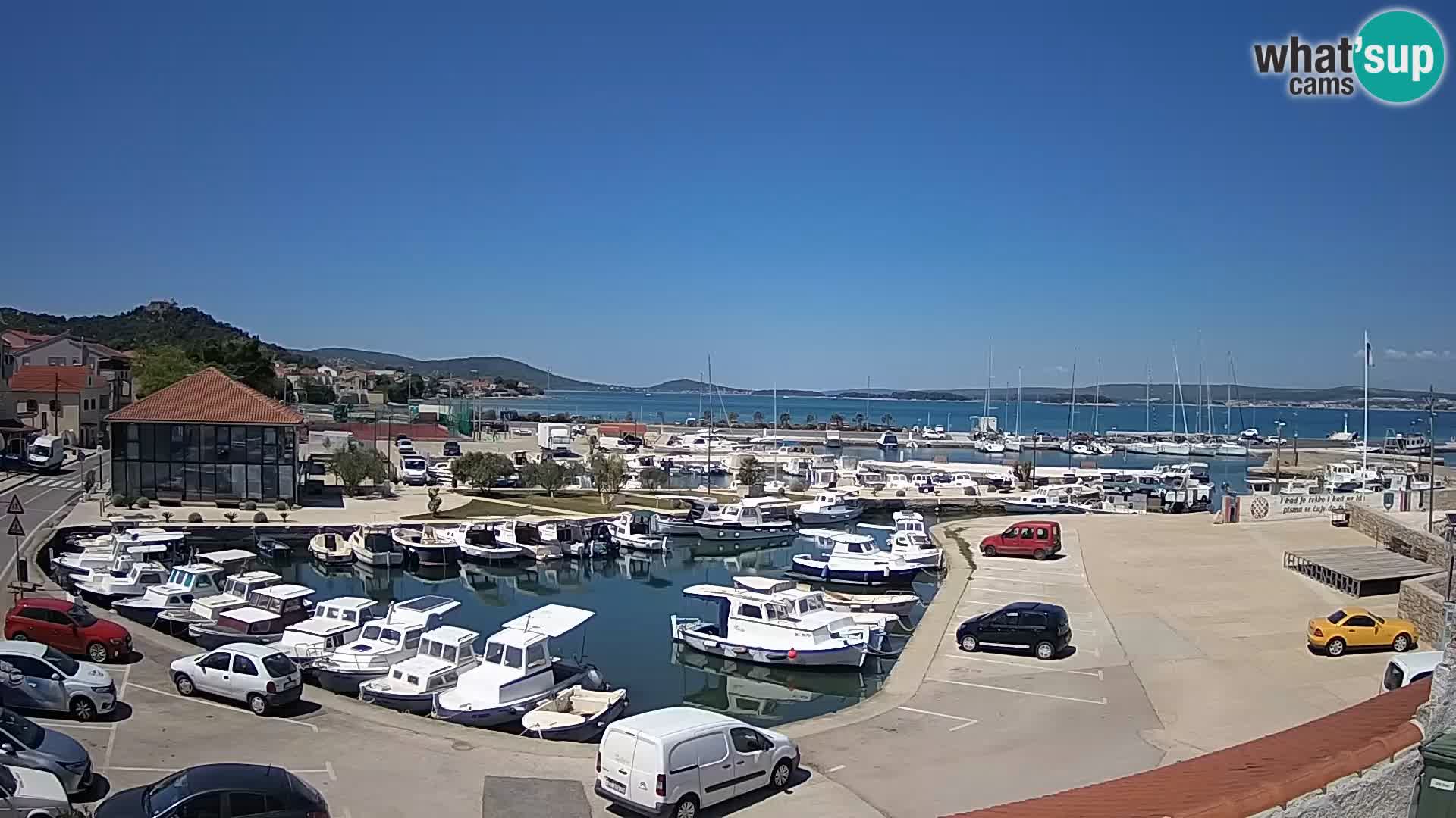 Webcam Live Tkon – Marina and port
