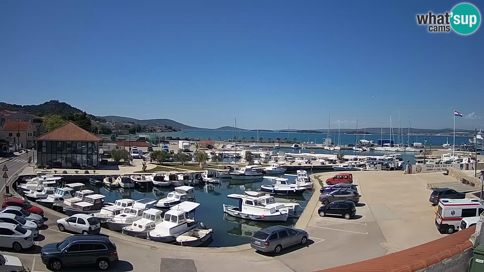 Webcam Live Tkon – Marina and port