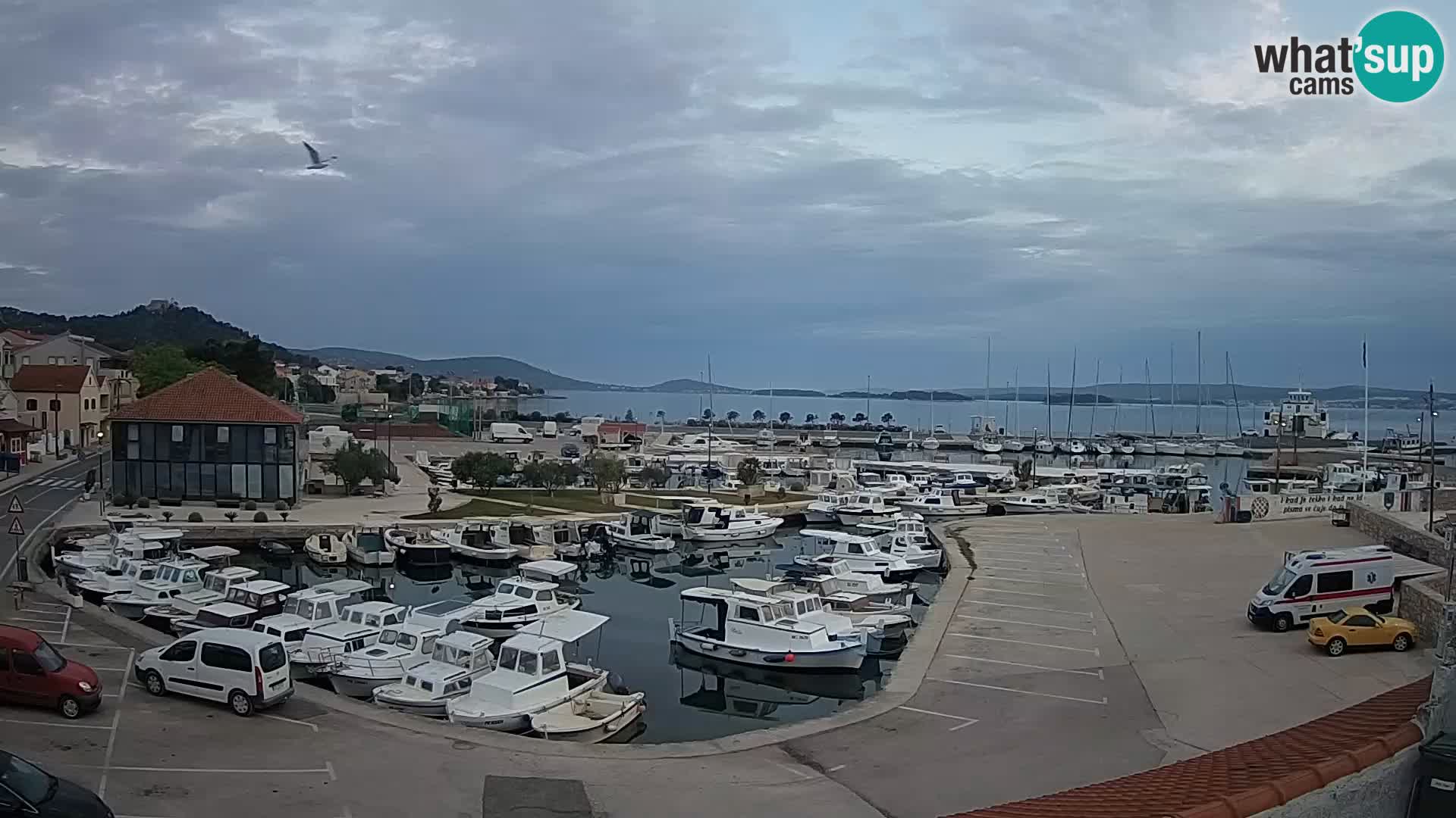 Webcam Live Tkon – Marina i luka