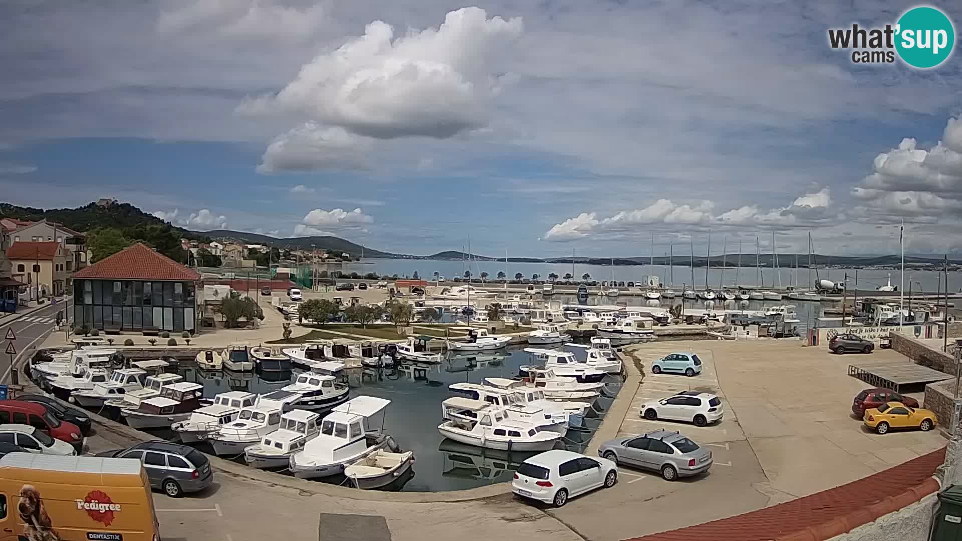 Webcam Live Tkon – Marina and port