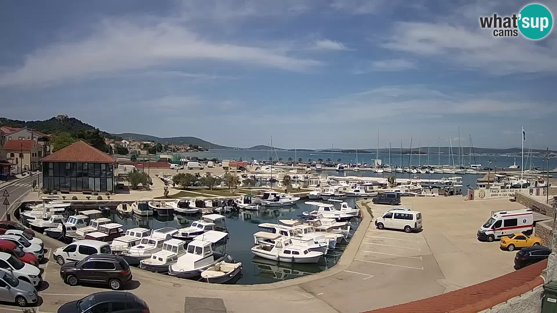 Webcam Live Tkon – Marina and port