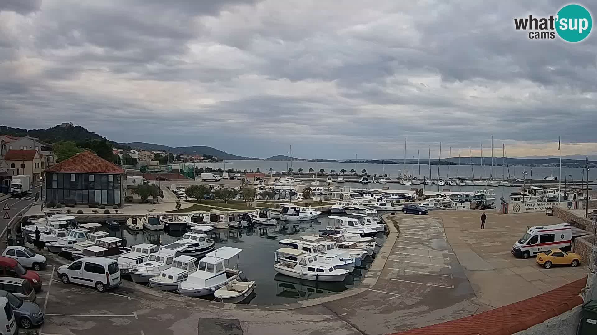 Webcam Live Tkon – Marina and port