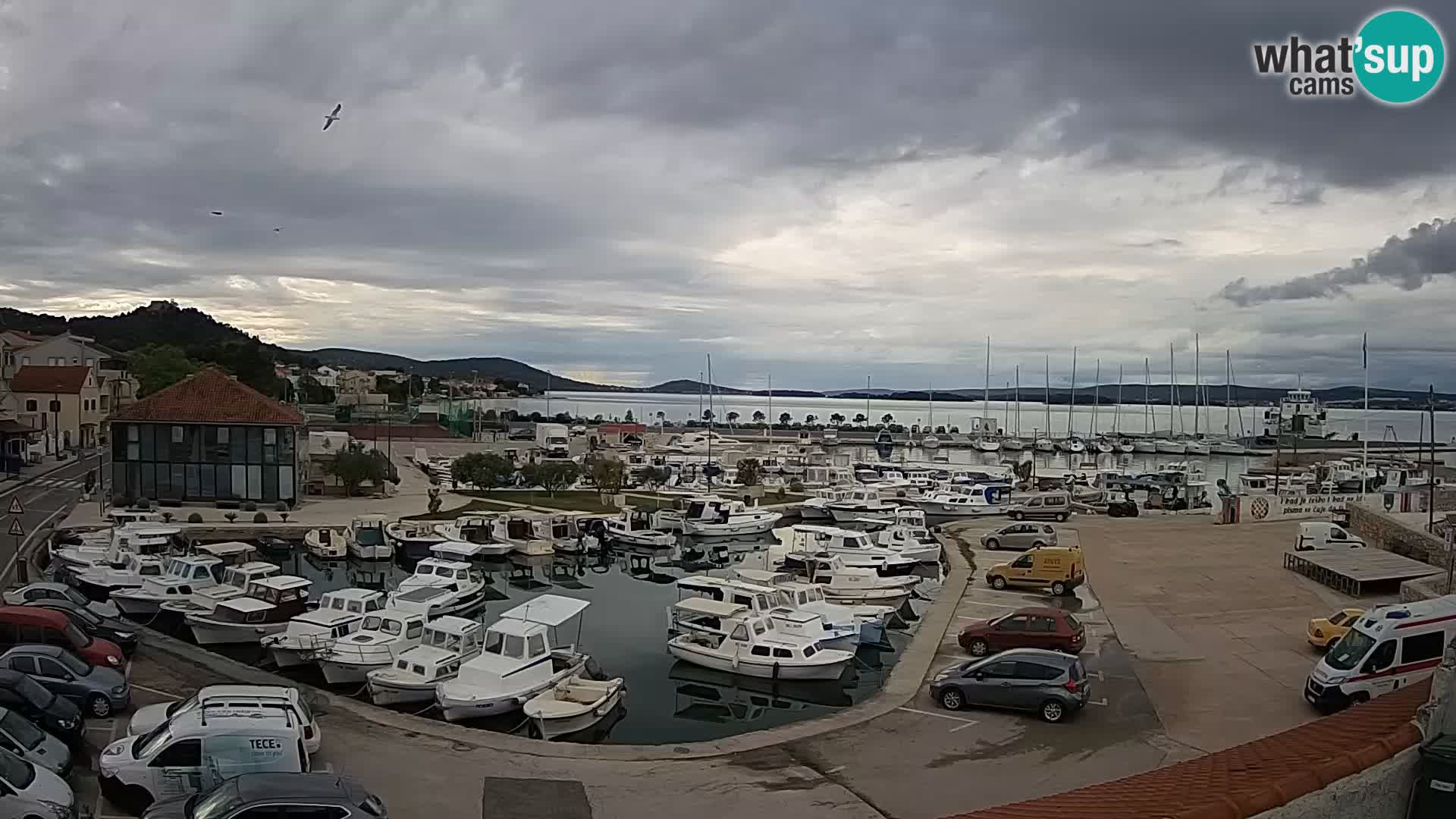 Webcam Live Tkon – Marina i luka
