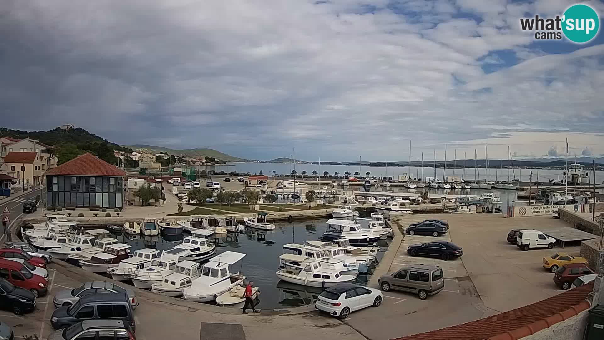 Webcam Live Tkon – Marina and port