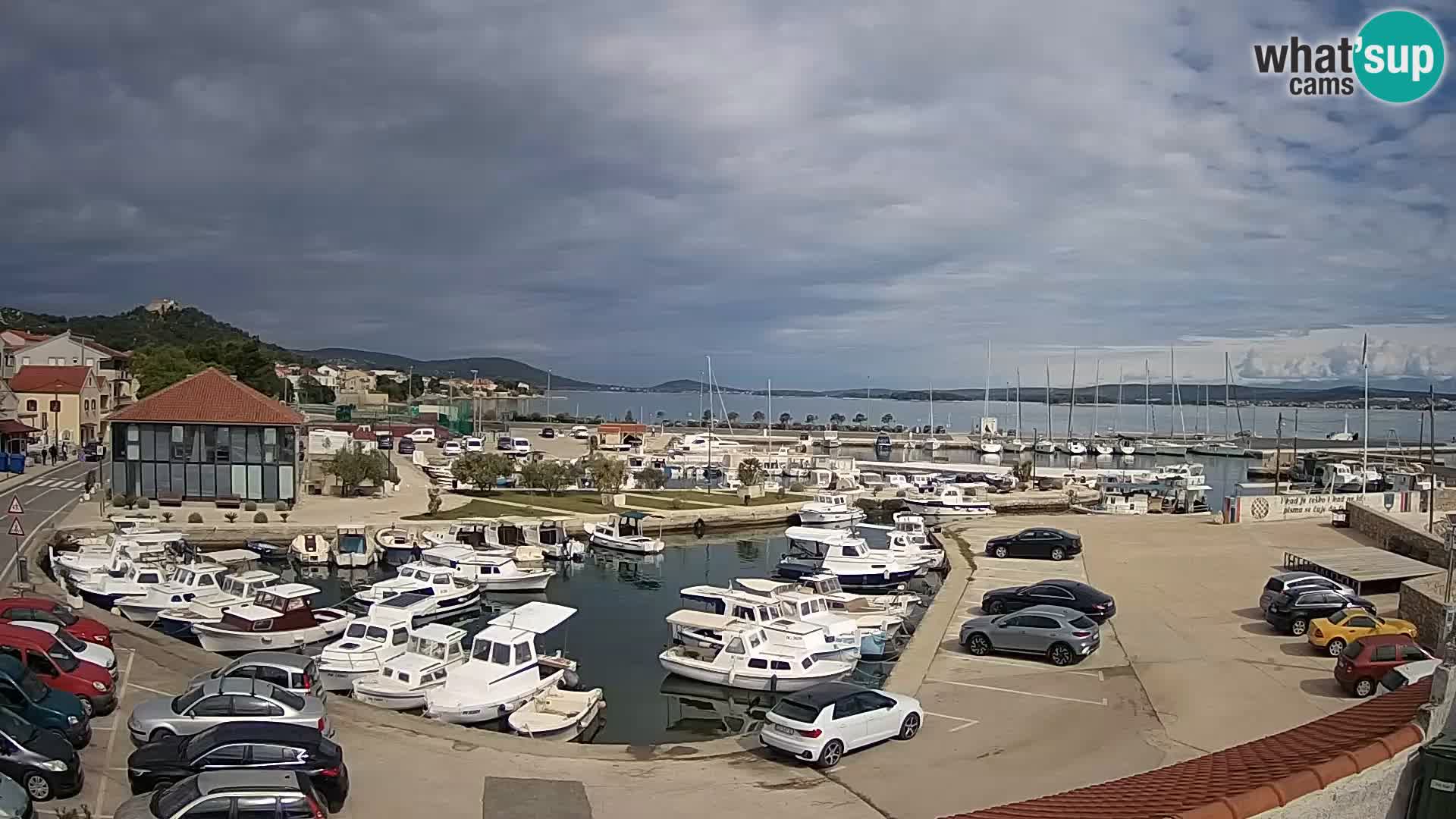 Webcam Live Tkon – Marina and port