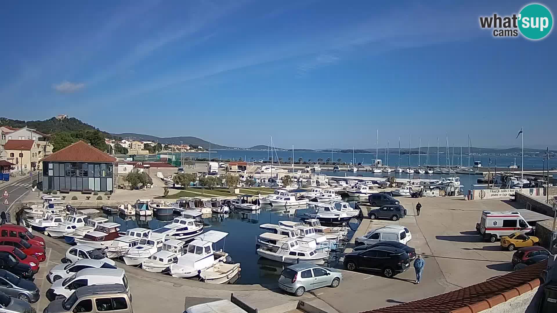 Webcam Live Tkon – Marina and port