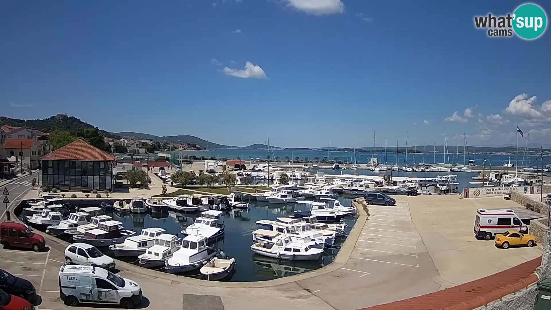 Webcam Live Tkon – Marina and port