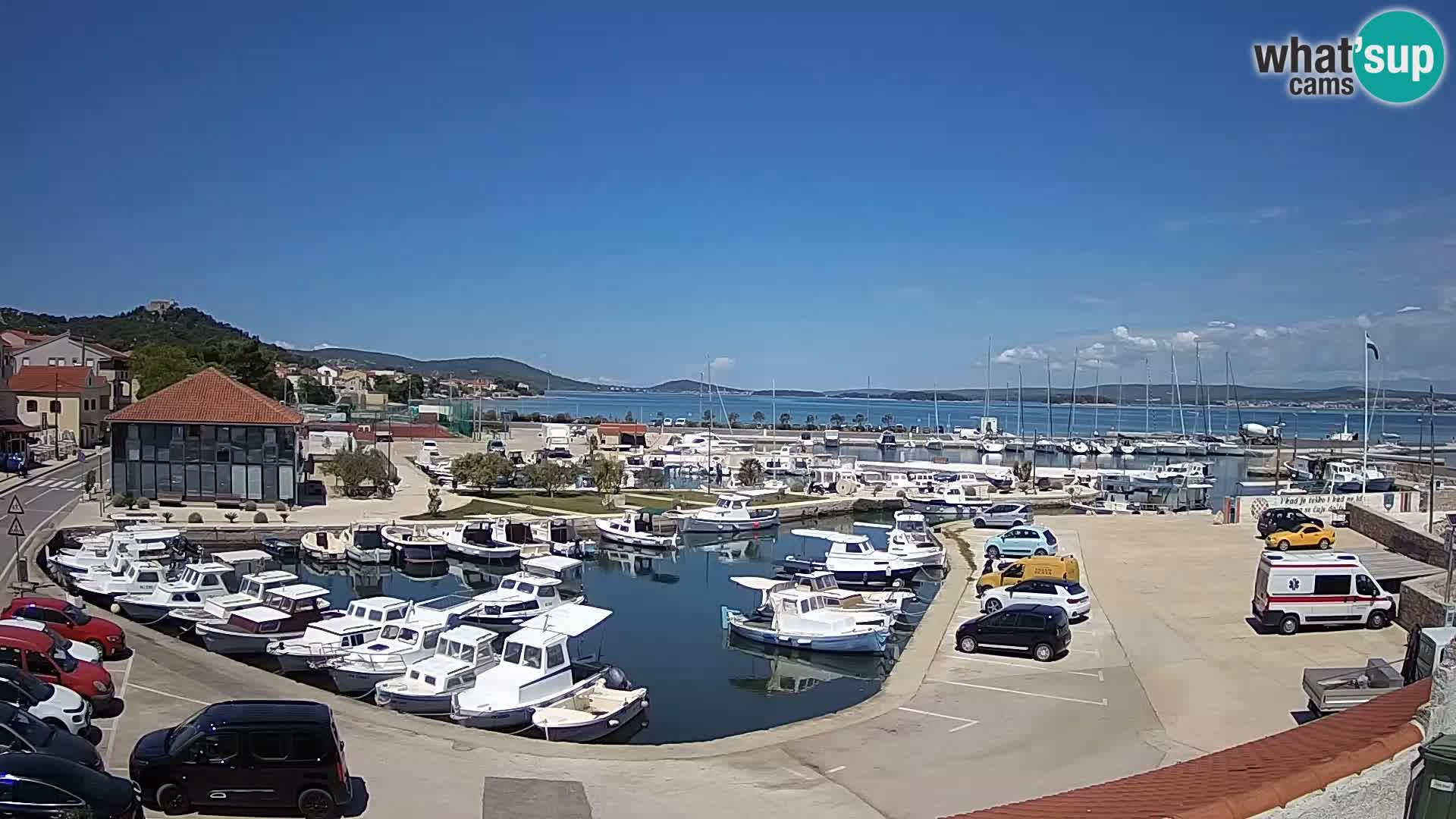 Webcam Live Tkon – Marina and port