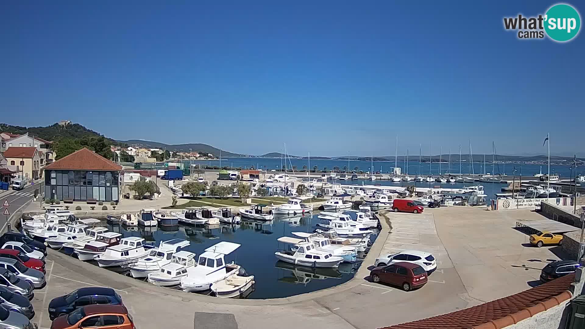 Webcam Live Tkon – Marina and port