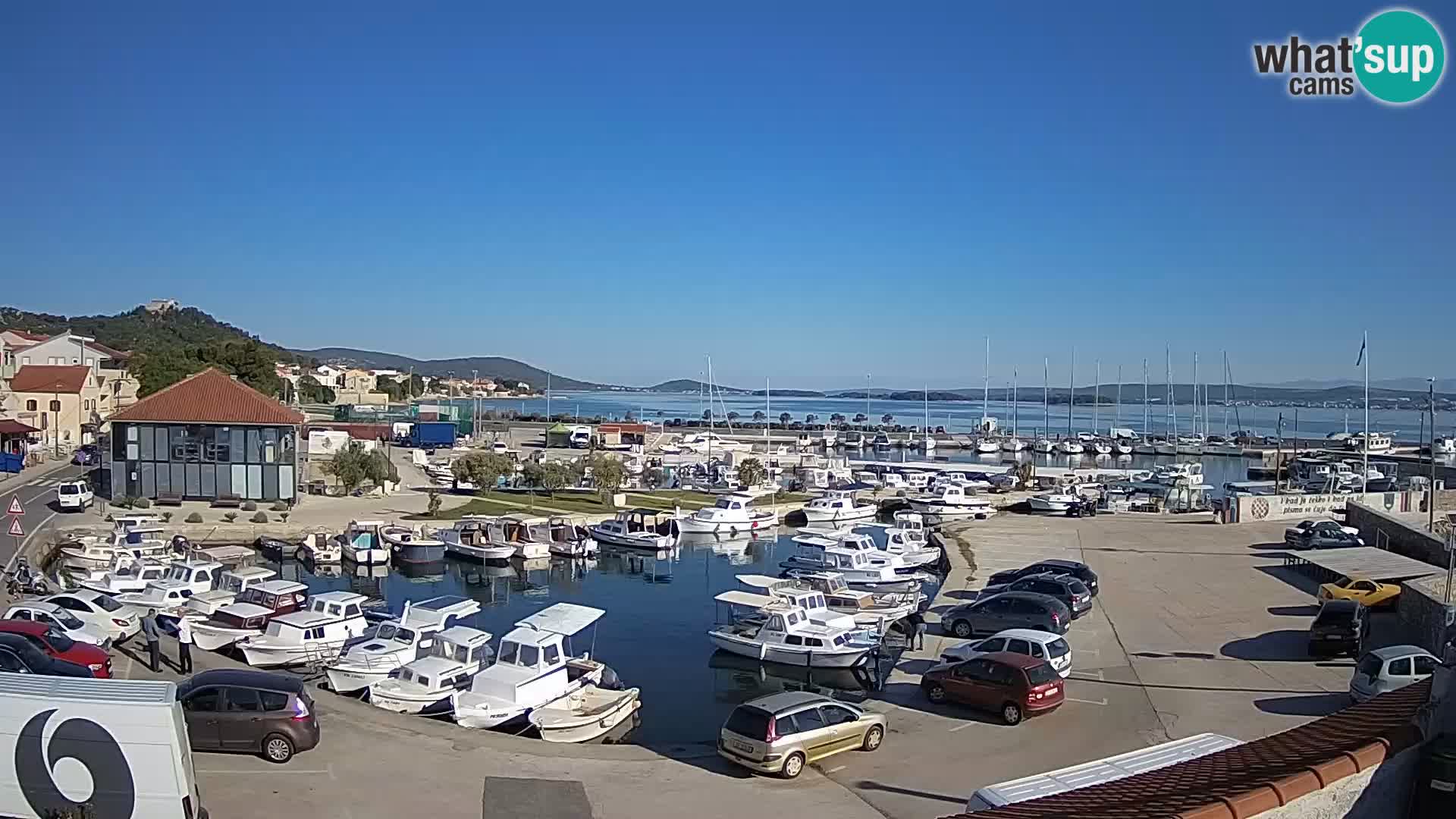 Webcam Live Tkon – Marina and port