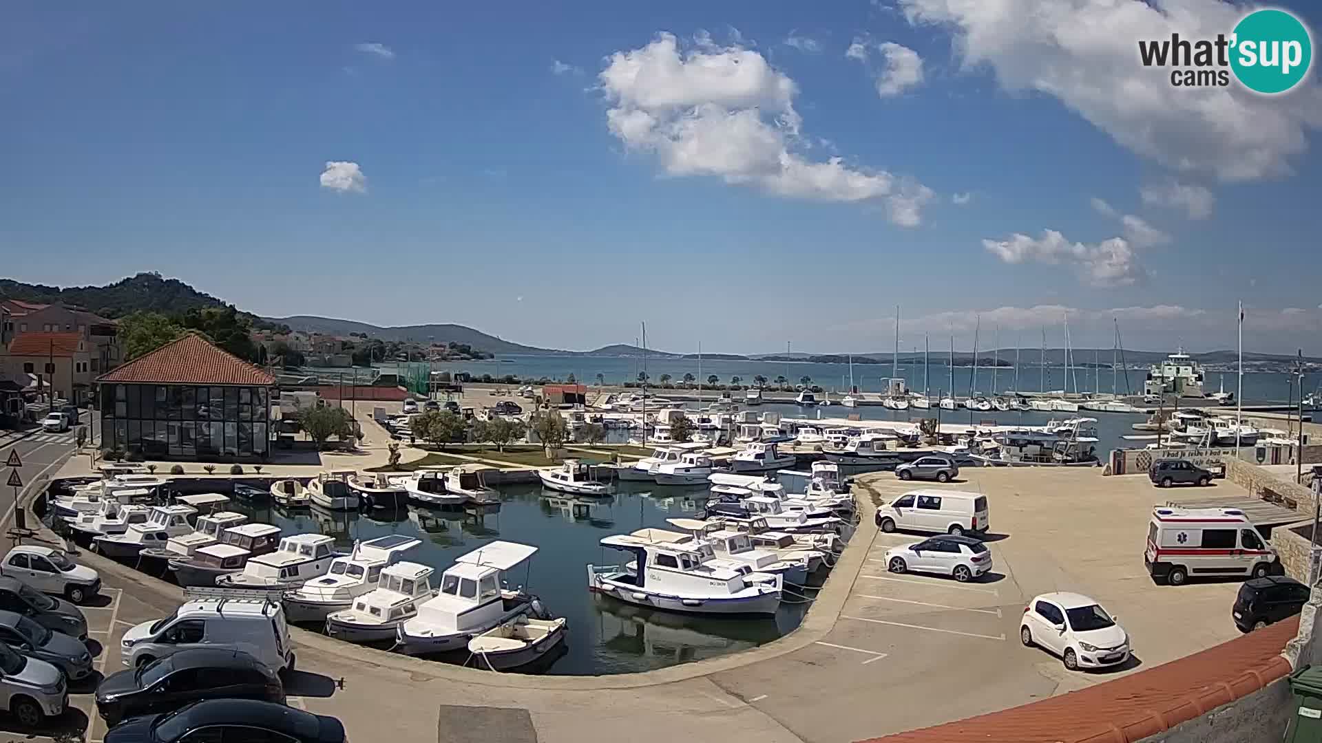 Webcam Live Tkon – Marina and port