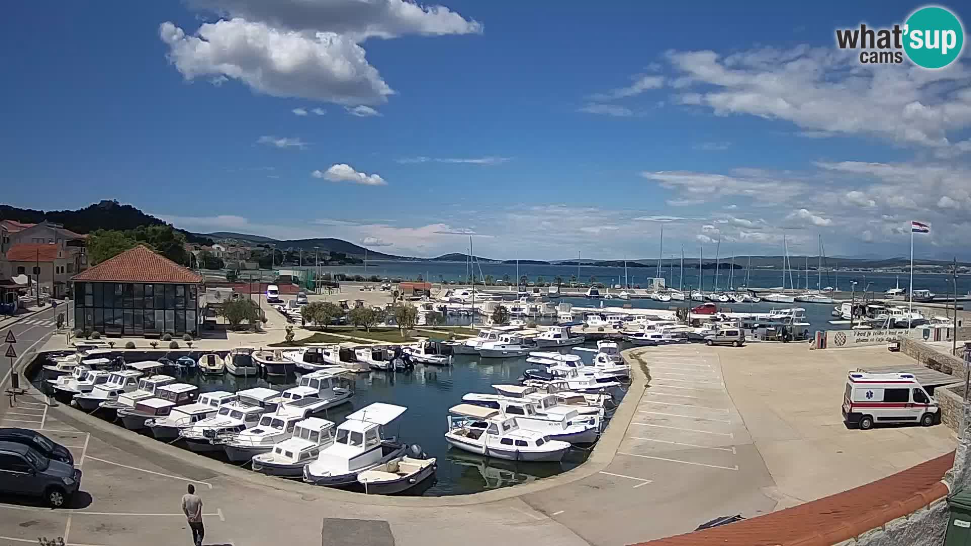 Kamera v živo Tkon – Marina in pristanišče