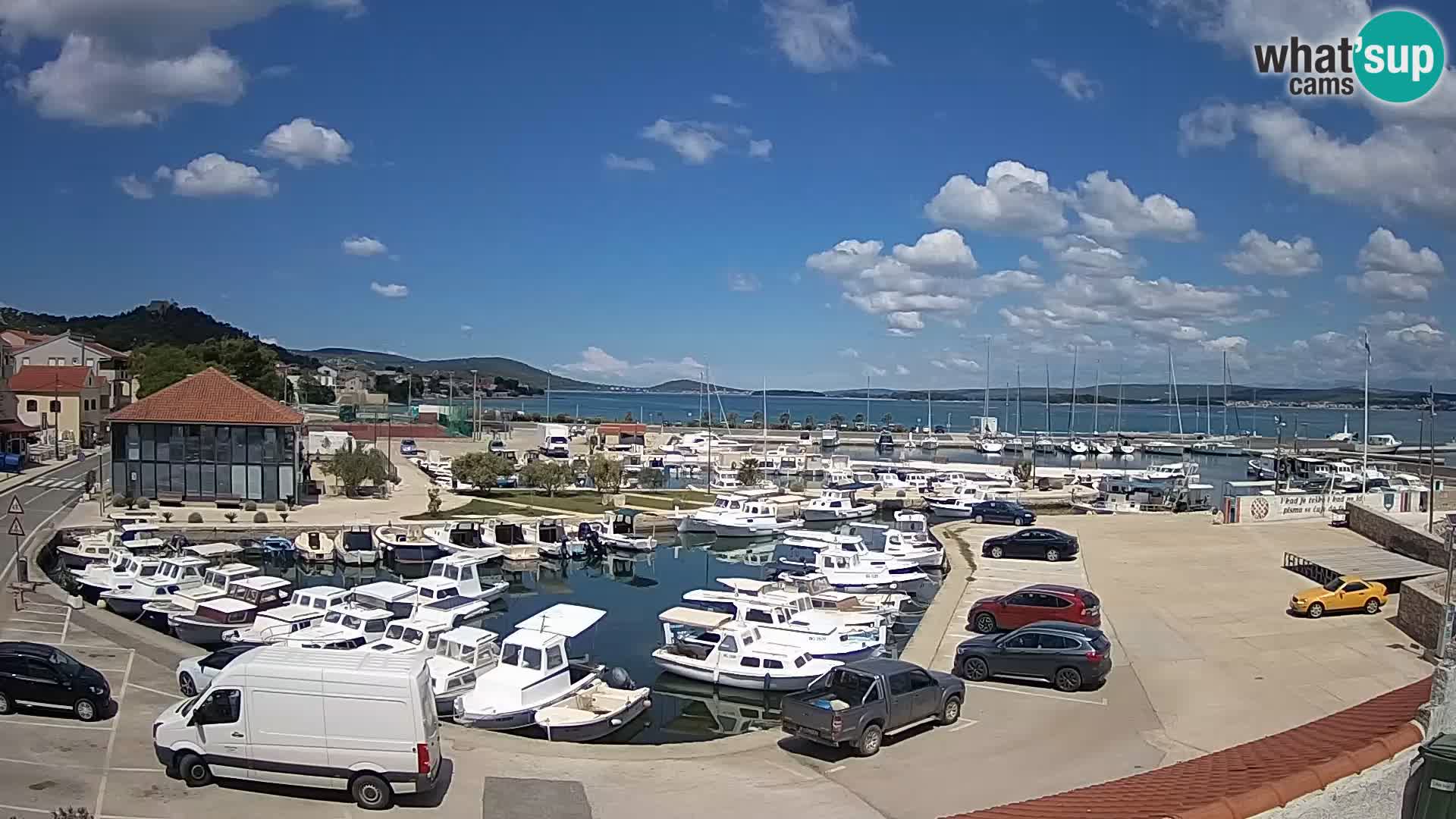 Webcam Live Tkon – Marina and port
