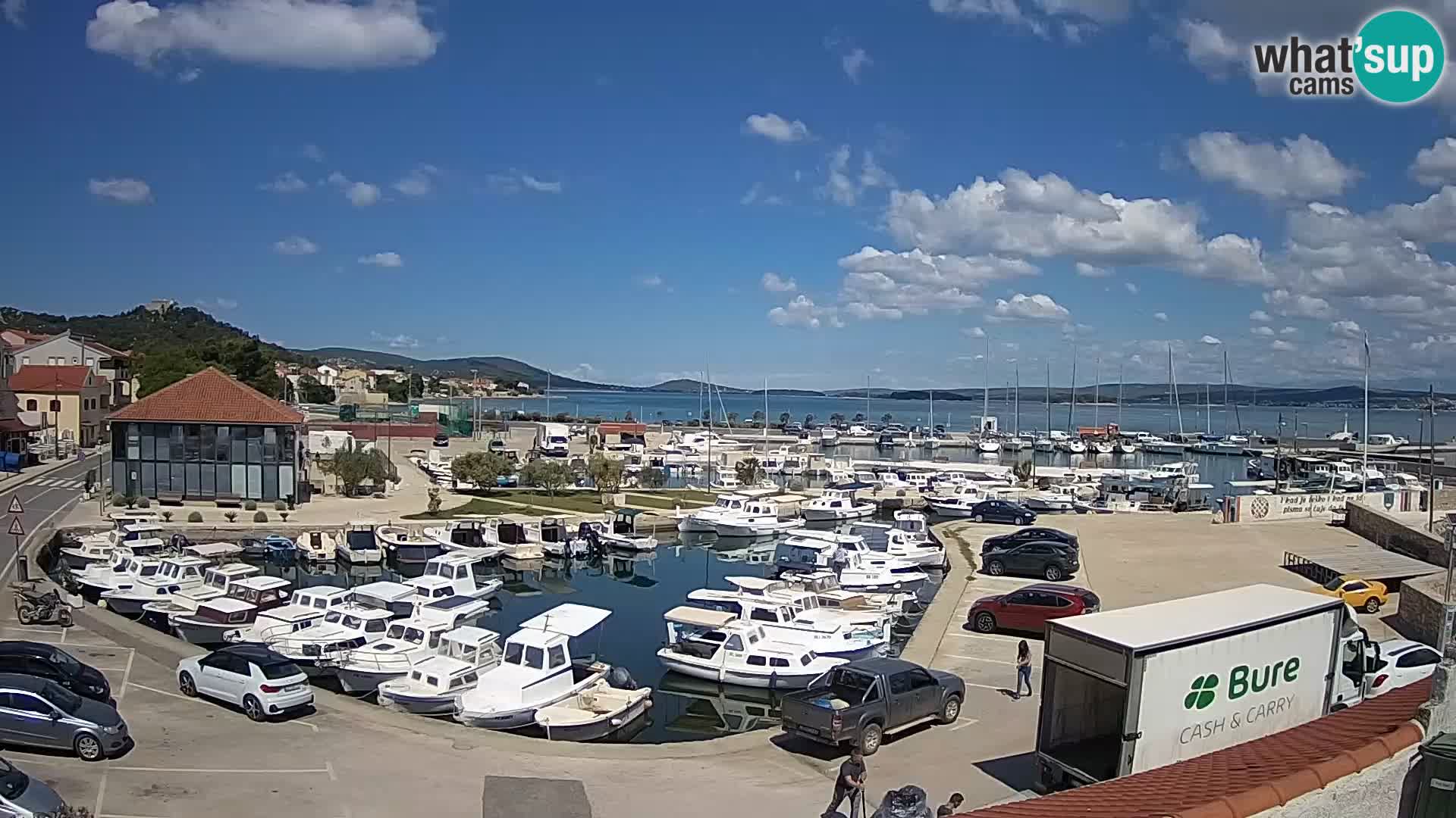 Webcam Live Tkon – Marina and port
