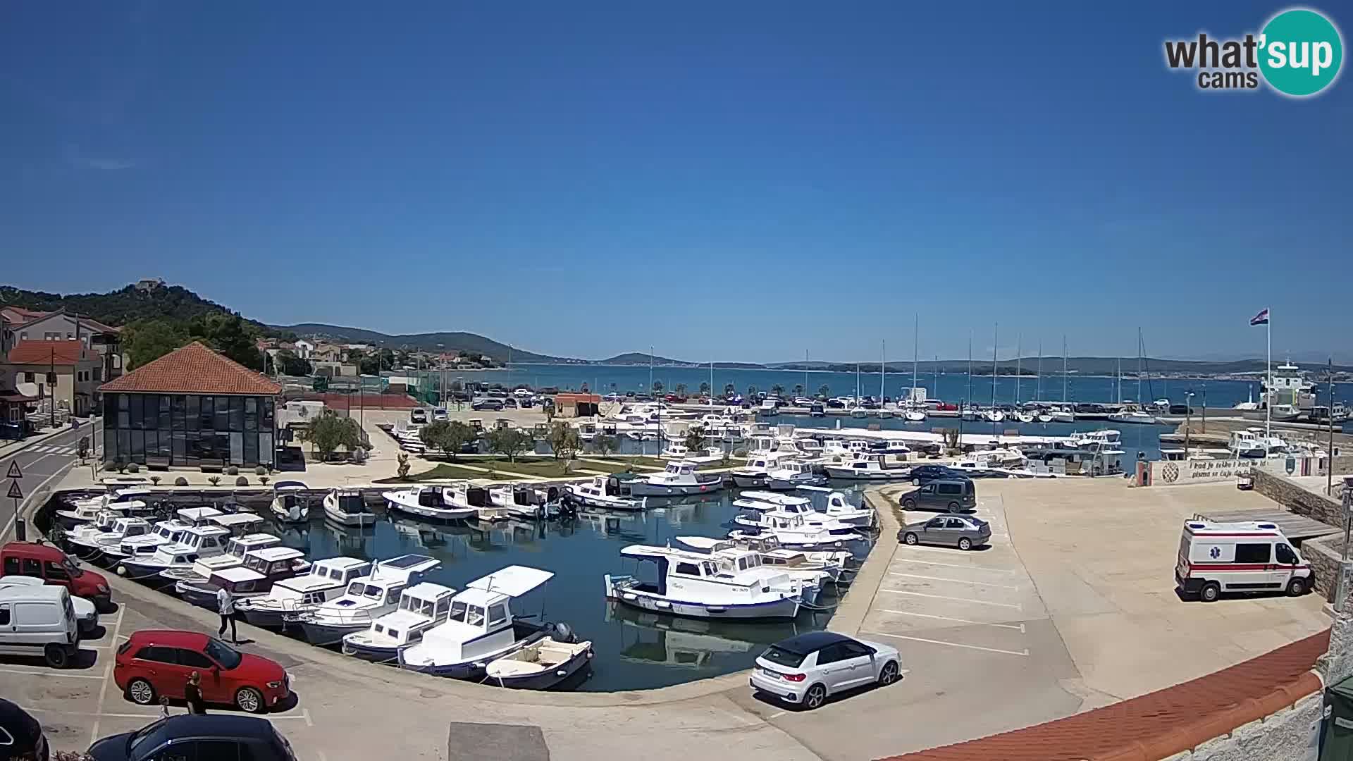Webcam Live Tkon – Marina and port