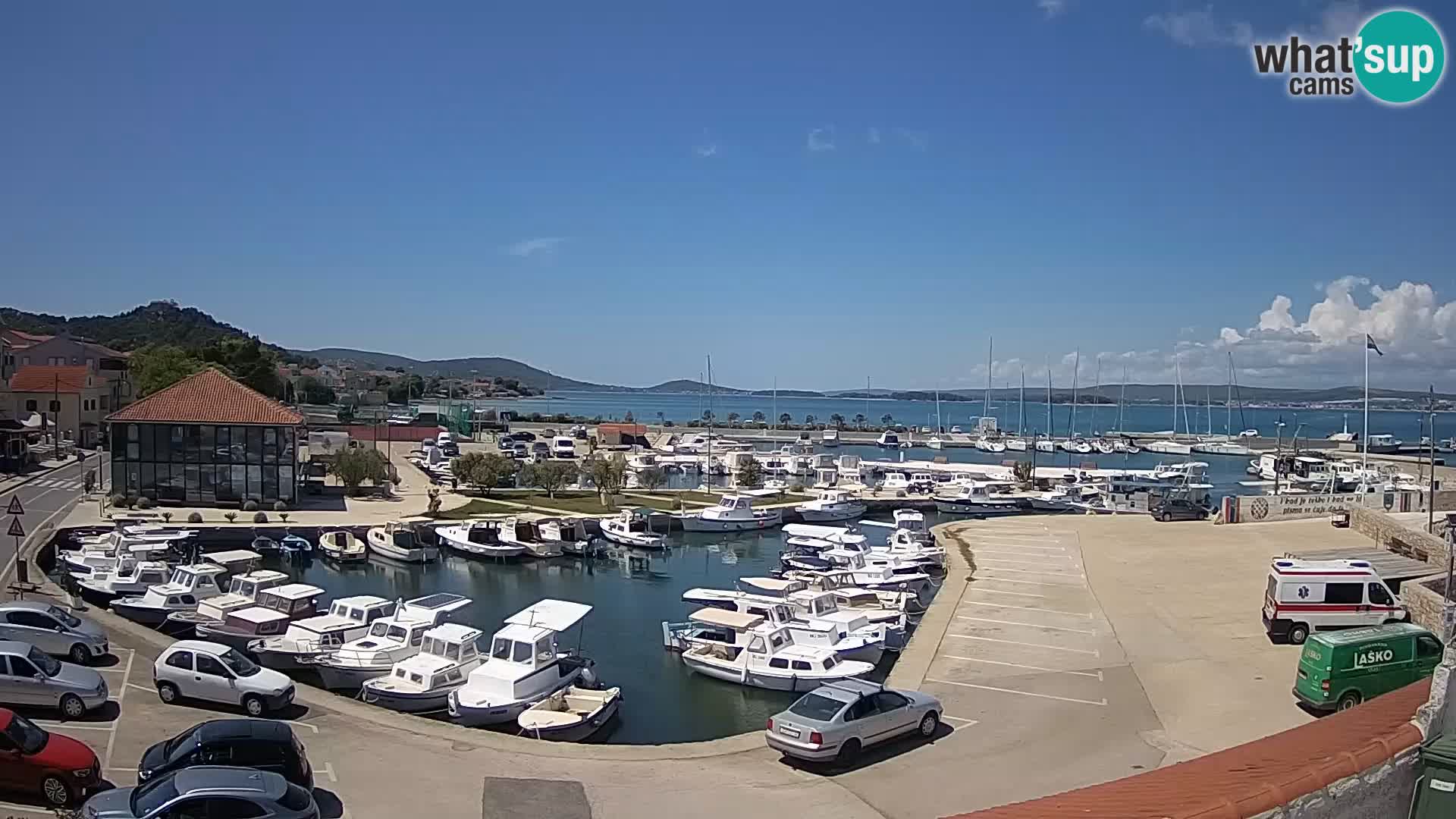 Webcam Live Tkon – Marina and port